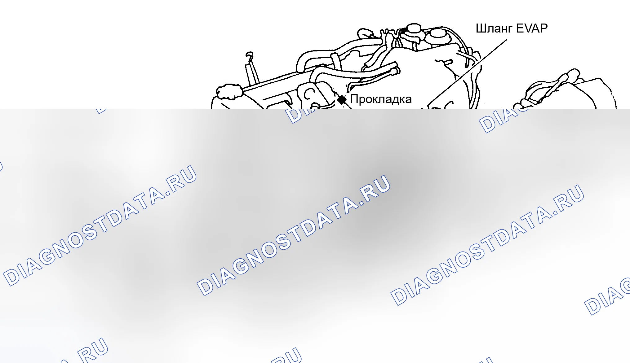 Рис. 27: Прокладка приводного ремня (Landcruiser 1FZ-FE 1995-96). Toyota Avalon XX10