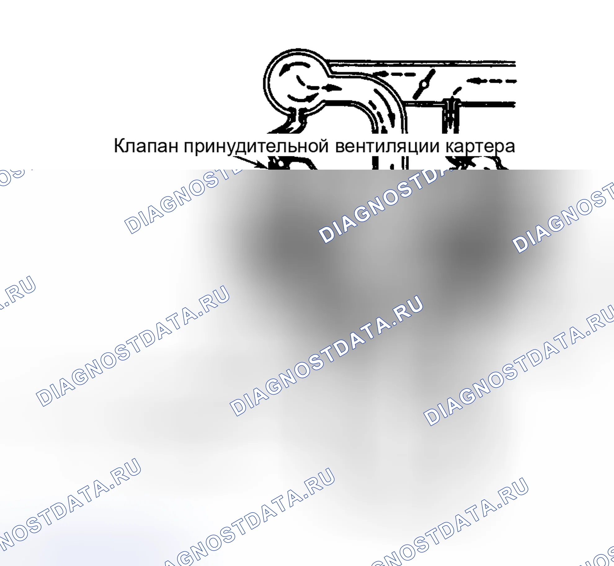 Рис. 4: ПРИНУДИТЕЛЬНАЯ ВЕНТИЛЯЦИЯ КАРТЕРА. Toyota Avalon XX10