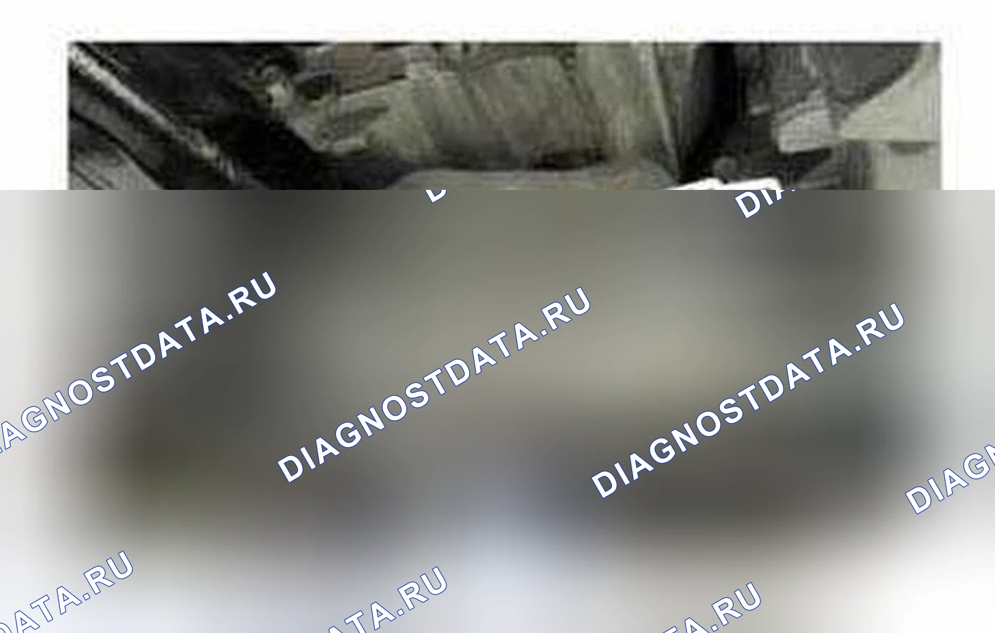 Рис. 1046. Ford Edge I рестайлинг