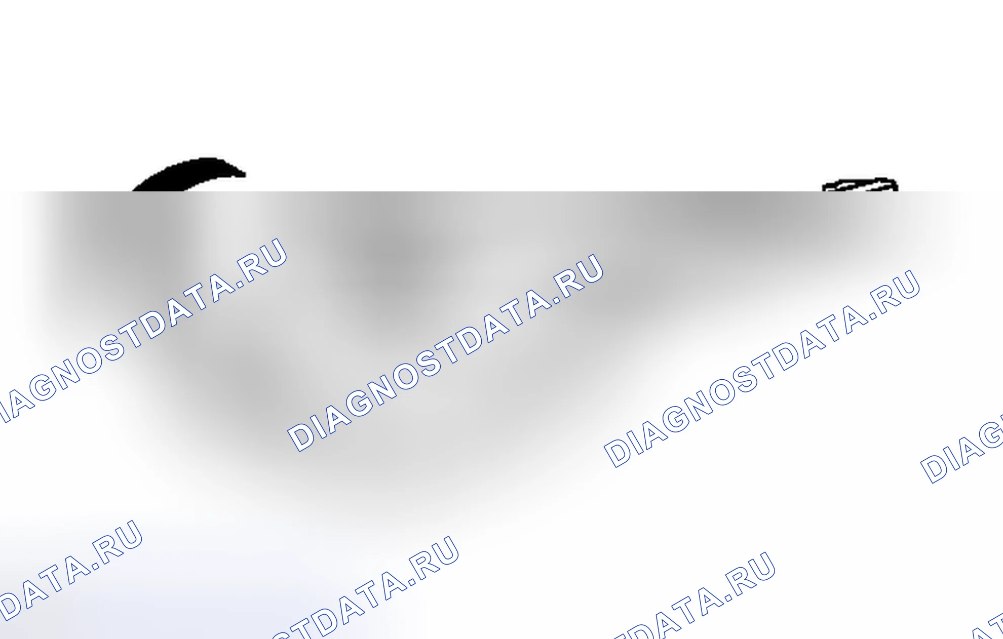 Рис. 273. Toyota RAV4 III рестайлинг