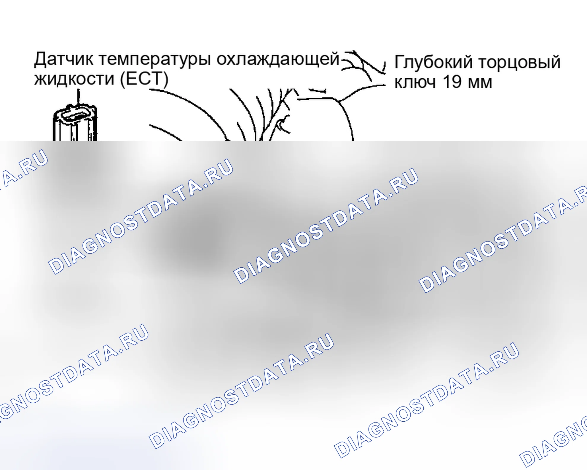 Рис. 40: ИНСПЕКЦИЯ. Toyota RAV4 II рестайлинг