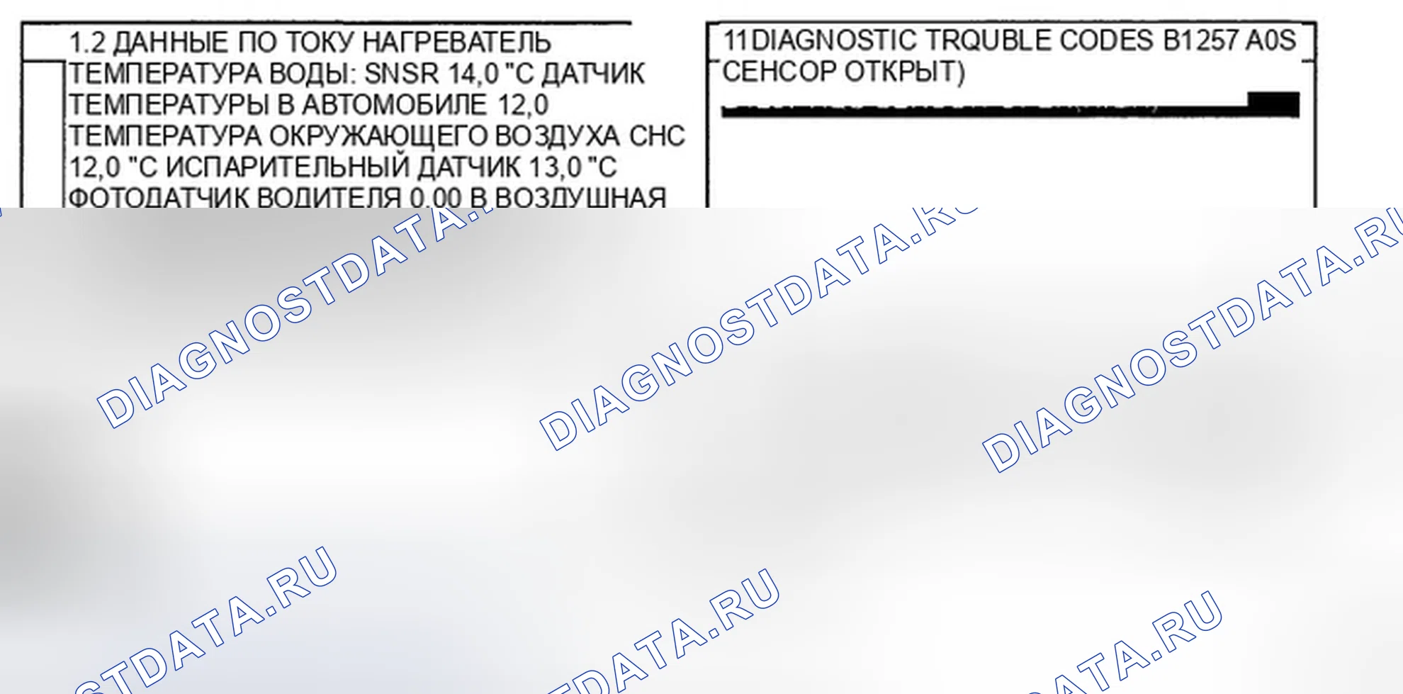 Рис. 13: МОНИТОРИНГ ДАННЫХ СКАНЕРА. Hyundai Azera I