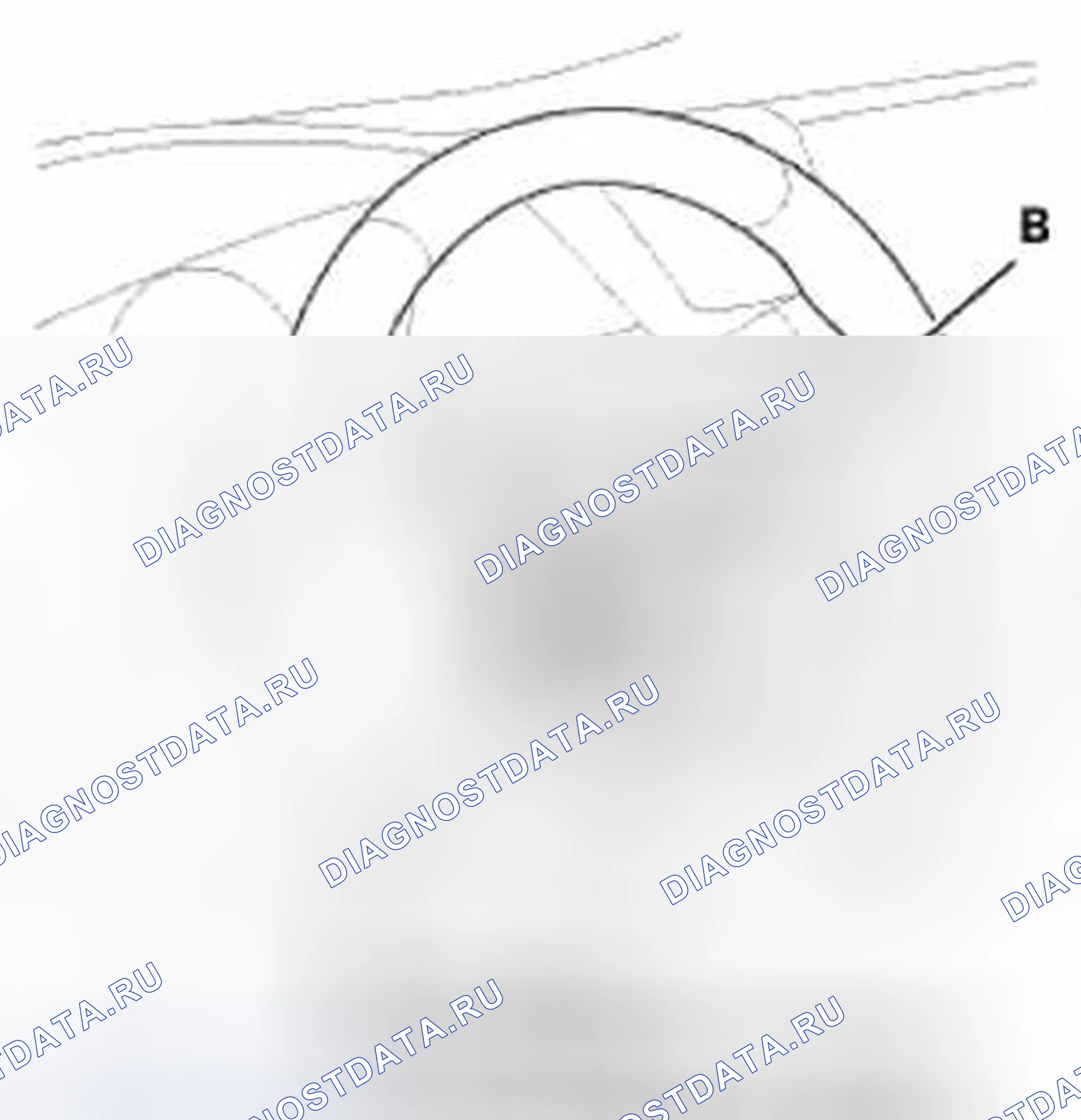 Рис. 29. Honda Civic IX