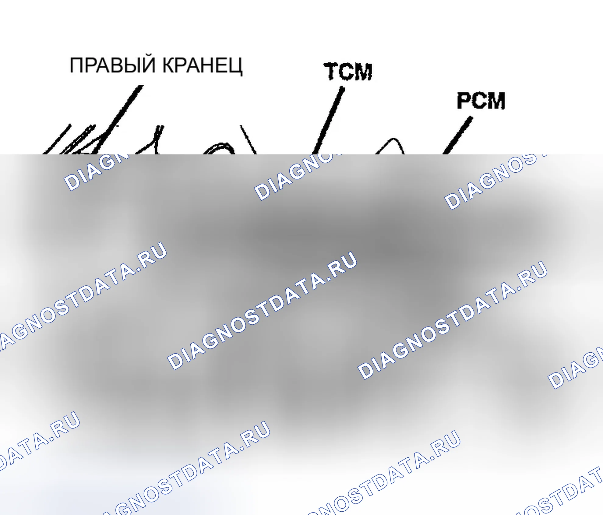 Рис. 296: РАСПОЛОЖЕНИЕ МОДУЛЕЙ УПРАВЛЕНИЯ блок управления трансмиссией (TCM) (блок управления трансмиссией) И блок управления силовым агрегатом (PCM) (блок управления силовым агрегатом). Dodge Pickup R2500 