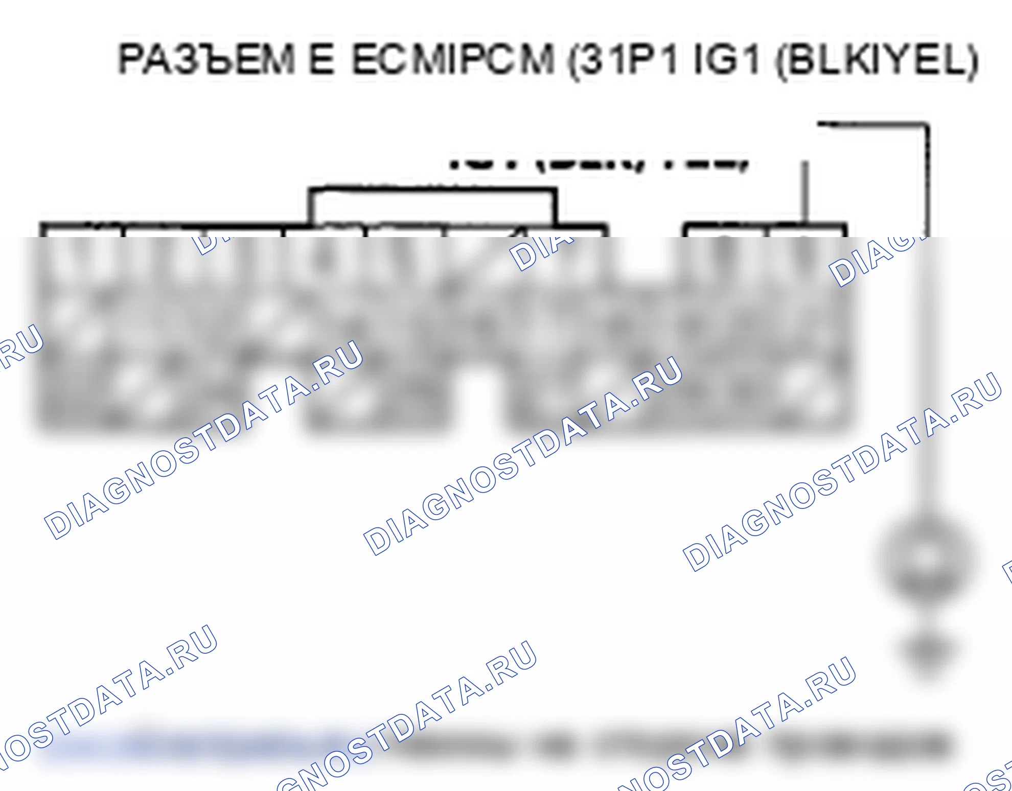 Рис. 449. Honda Element YH2 рестайлинг