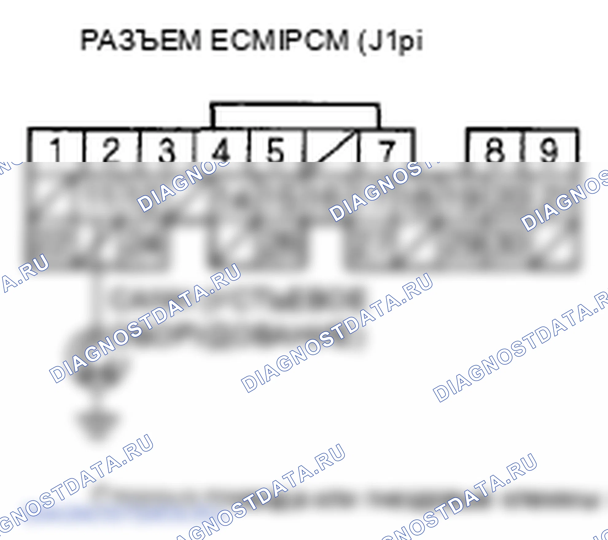 Рис. 442. Honda Element YH2 рестайлинг