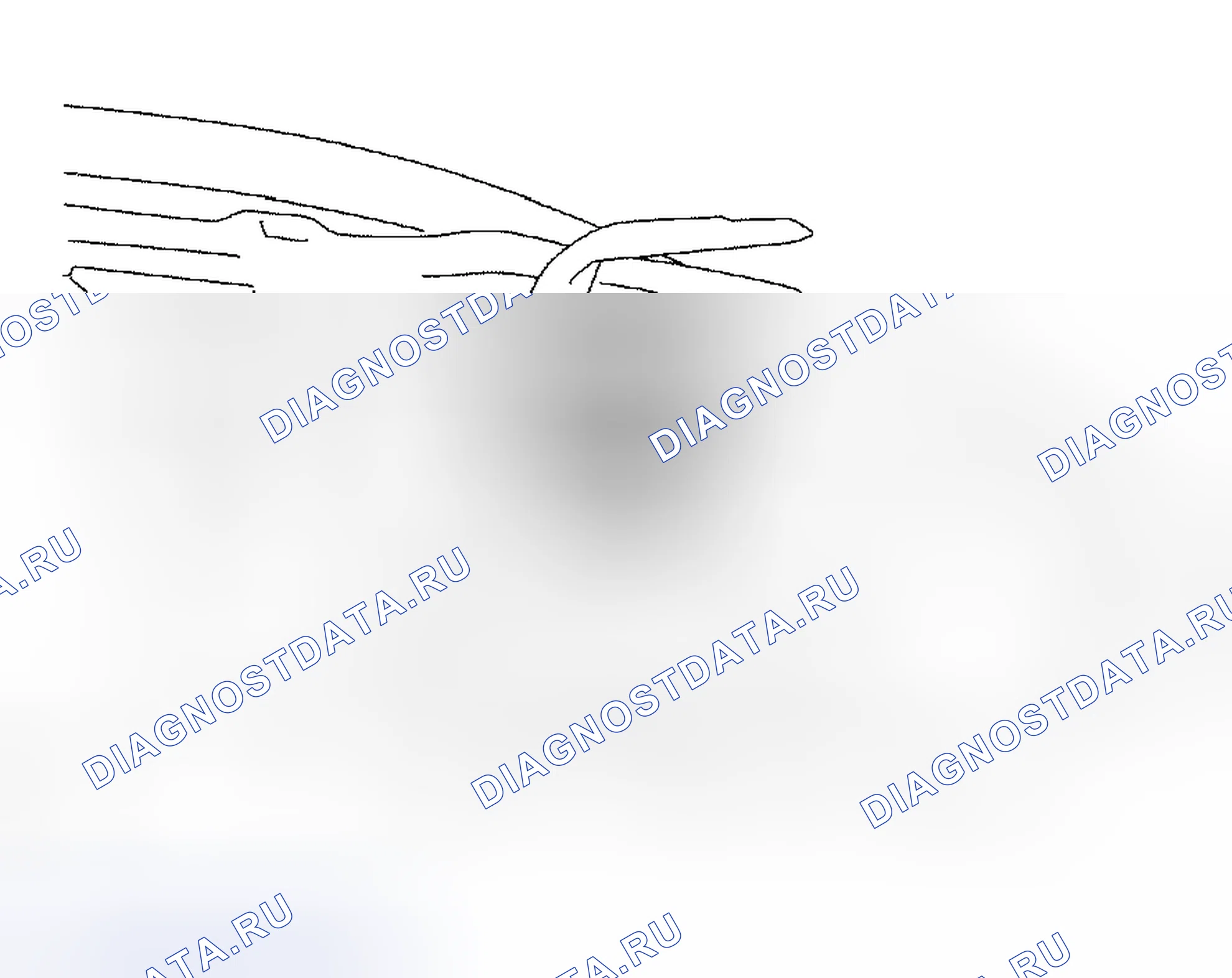 Рис. 221. Lexus RX II