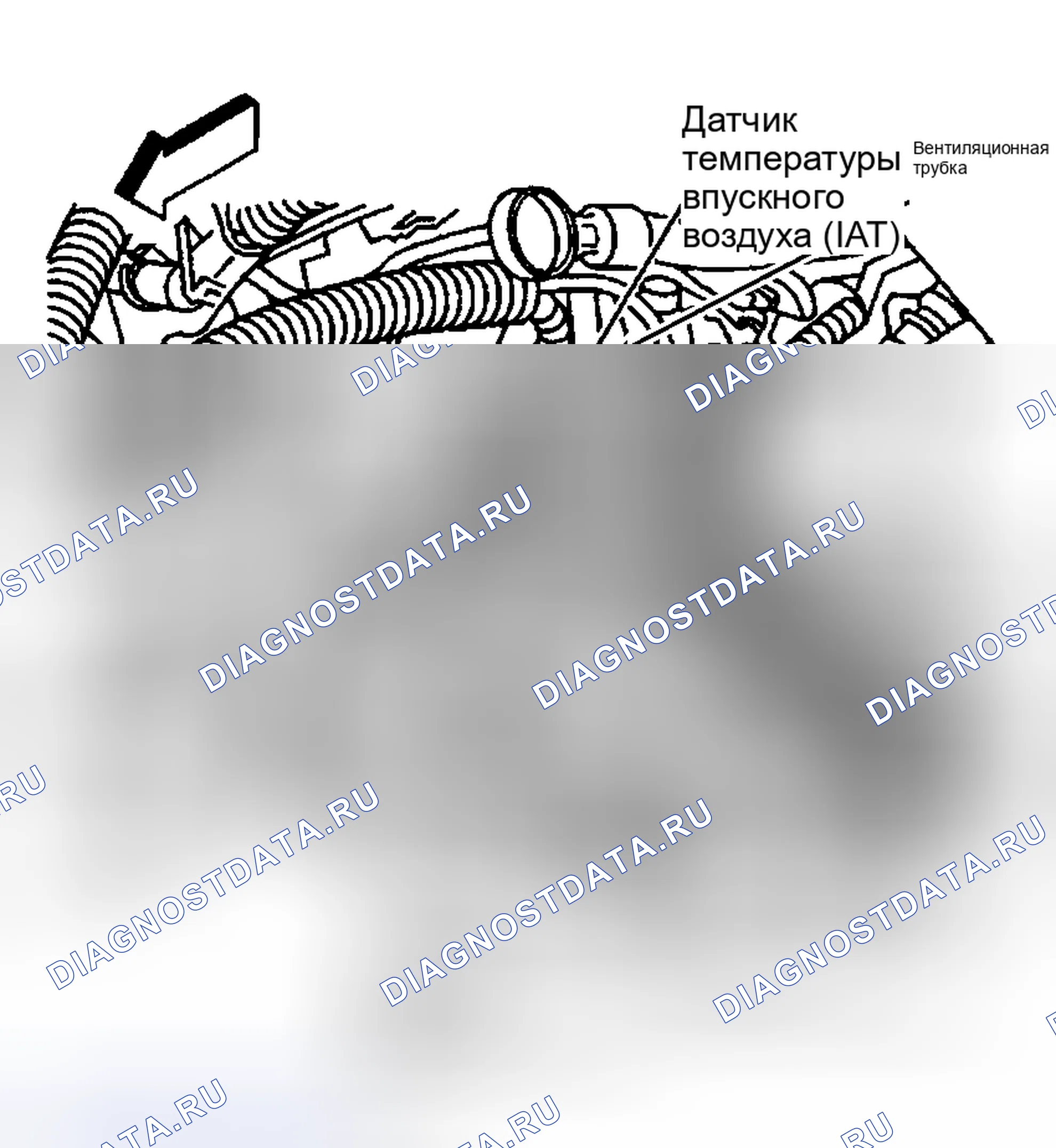 Рис. 5. Hyundai Venue I