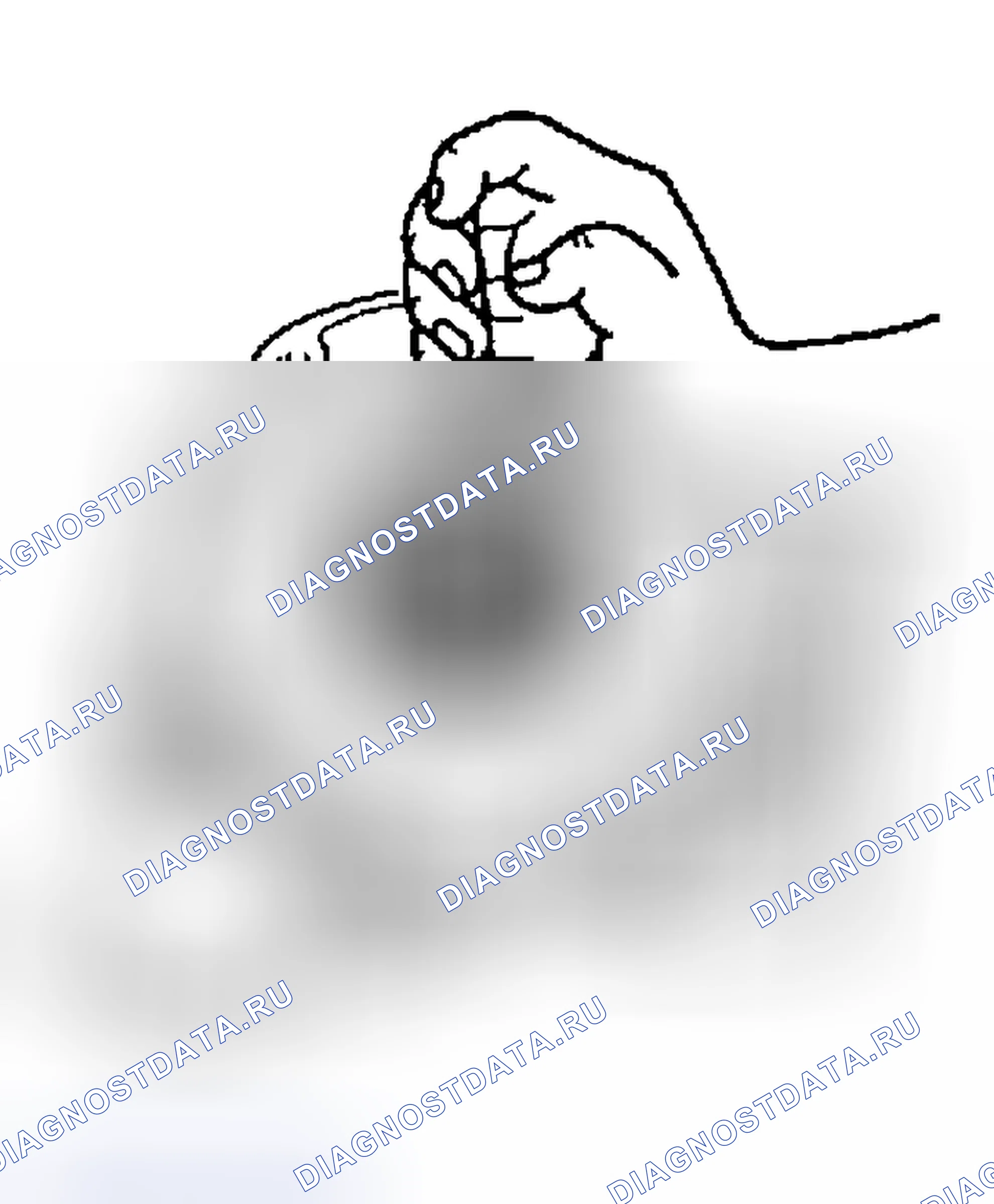 Рис. 384. Geely Preface I