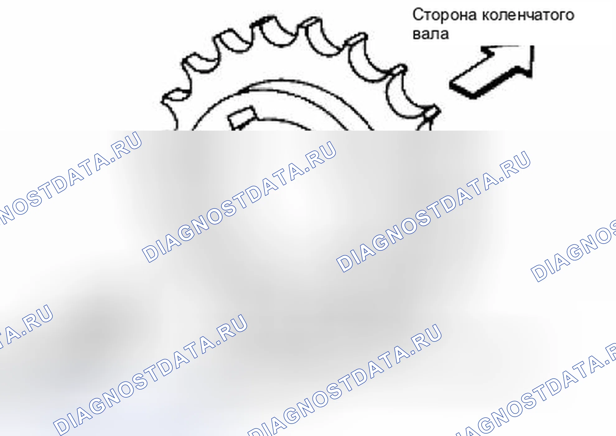 Рис. 235. Suzuki Equator I