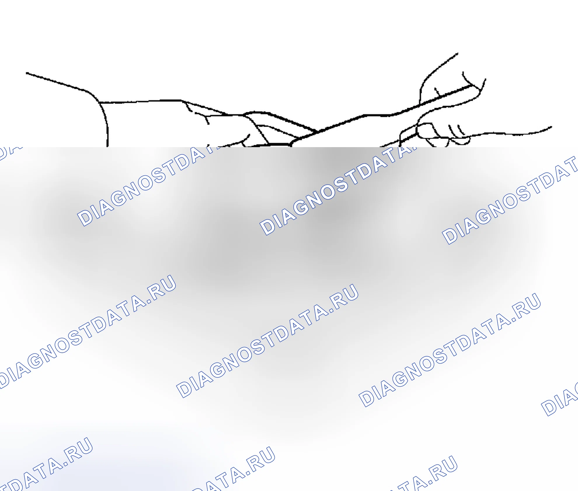 Рис. 251. Toyota MR2 W30