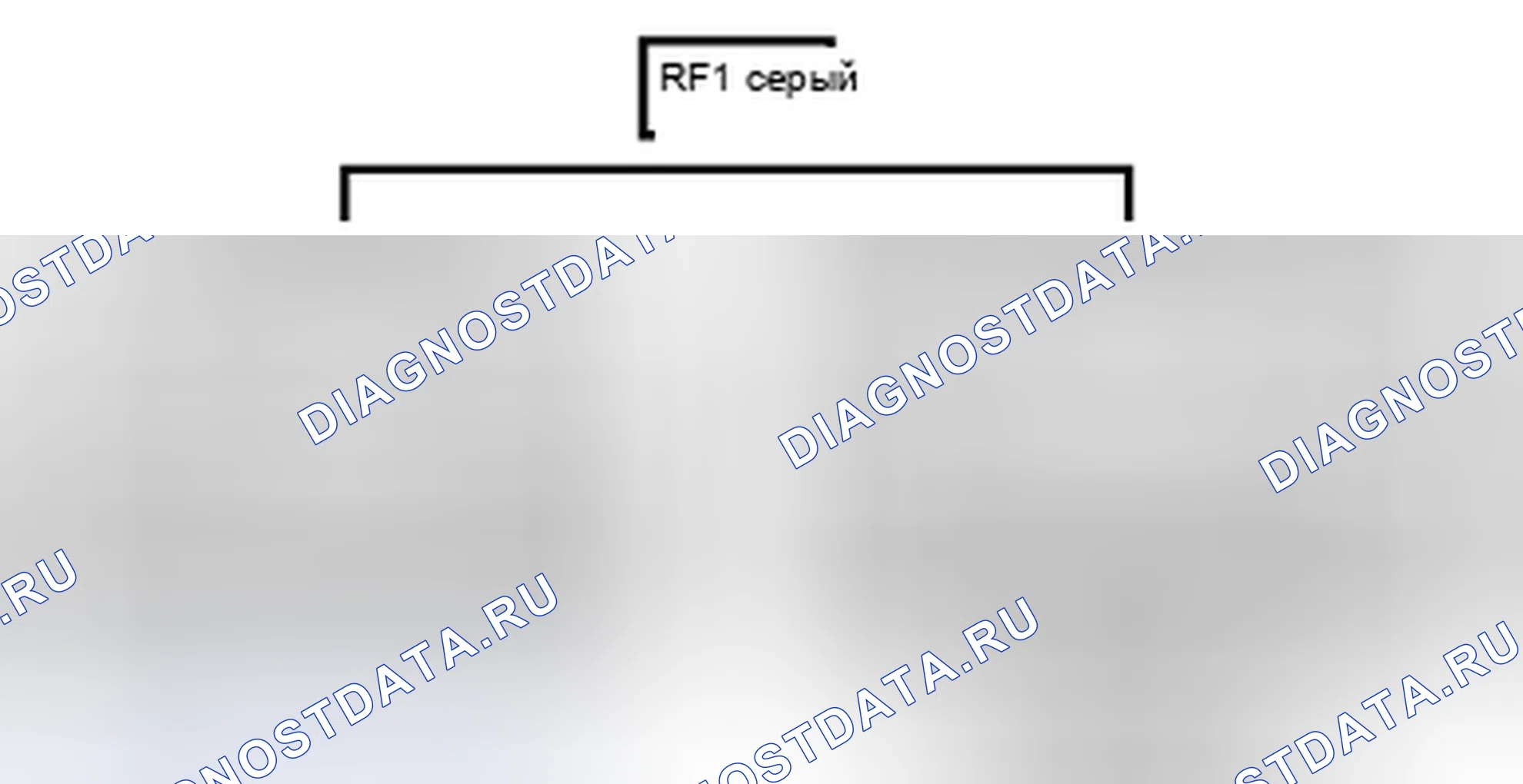 Рис. 923: Вид с торца линейного соединителя (RF1). Toyota Land Cruiser 200