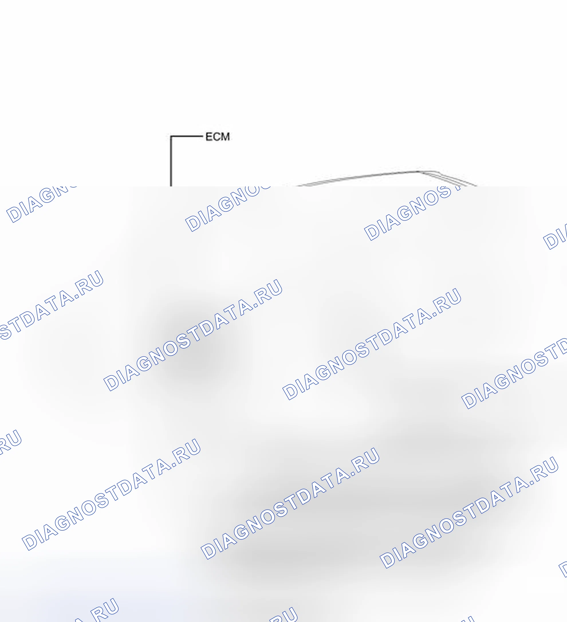 Рис. 7: ИЛЛЮСТРАЦИЯ. Toyota Prius V I