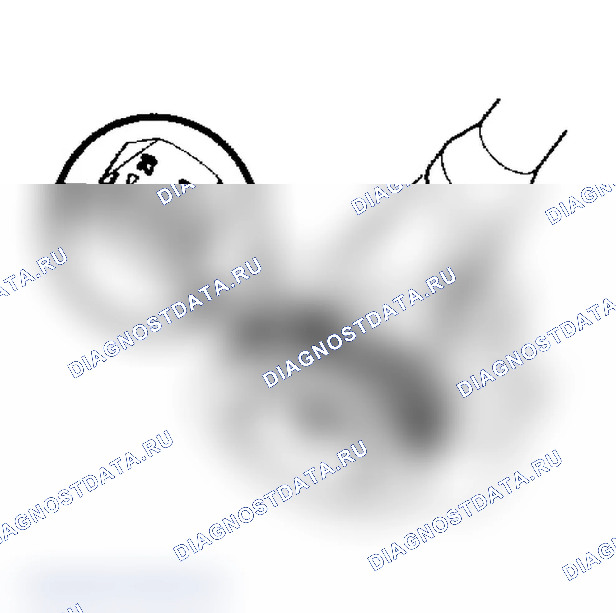 Рис. 1. Geo Prizm pre-I