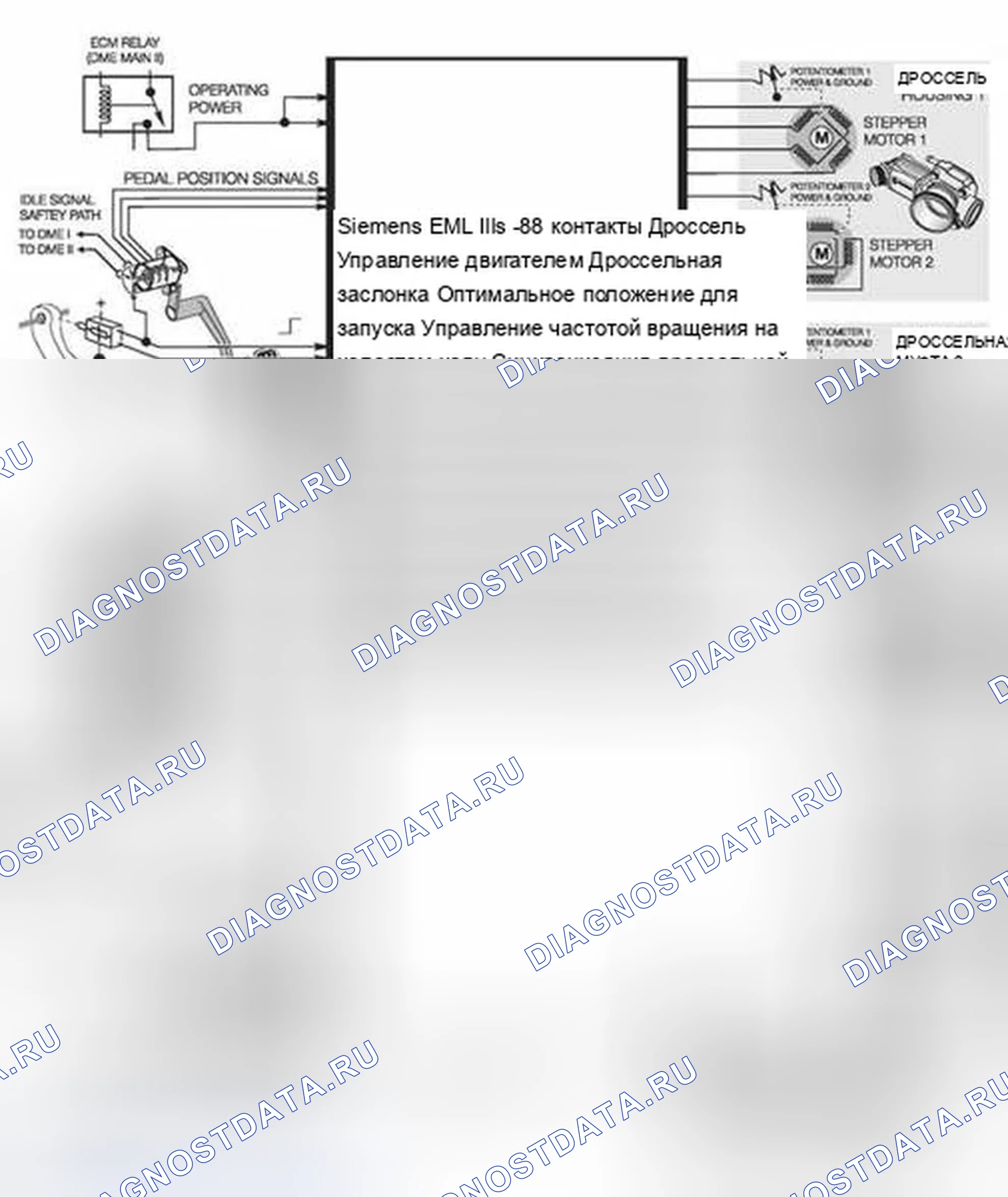 Рис. 502: IPO EML (M73/M73TU). BMW X5 E53