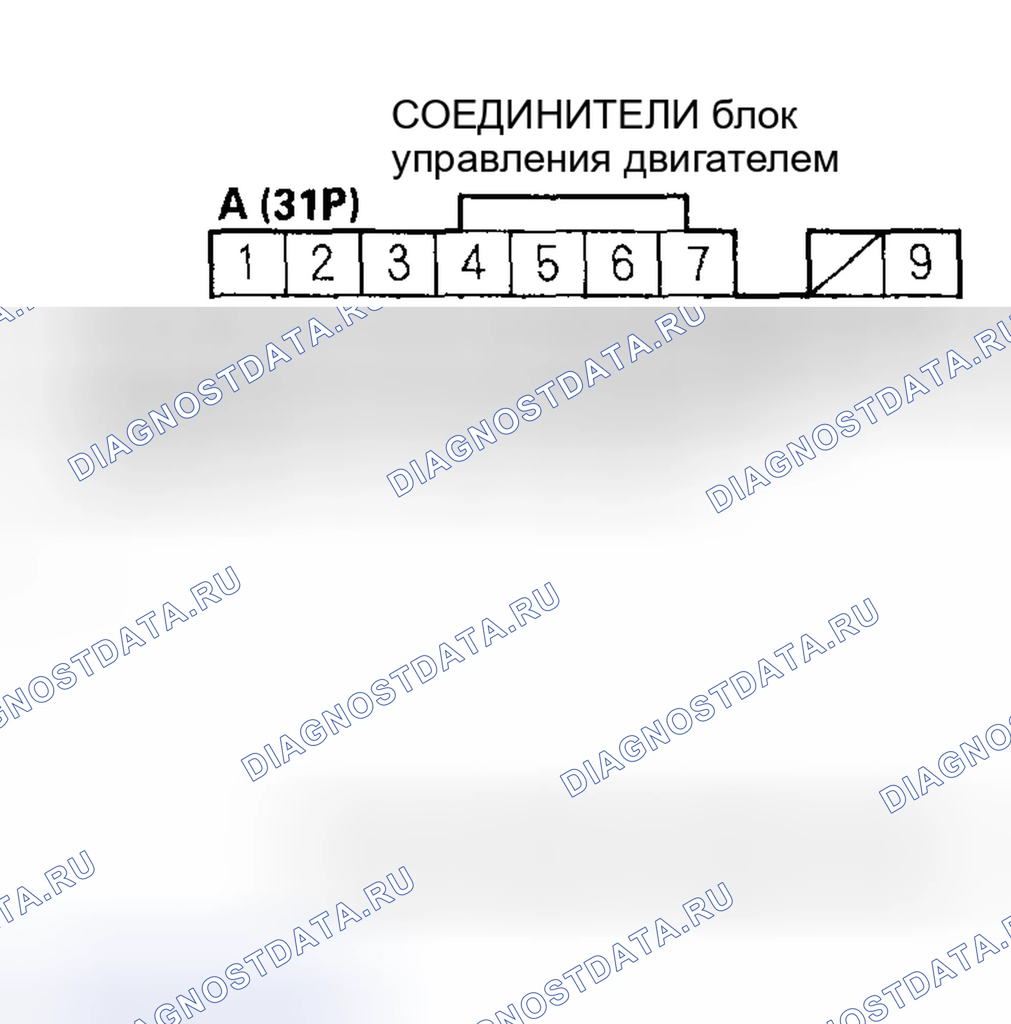 Рис. 498. Honda Civic VII рестайлинг