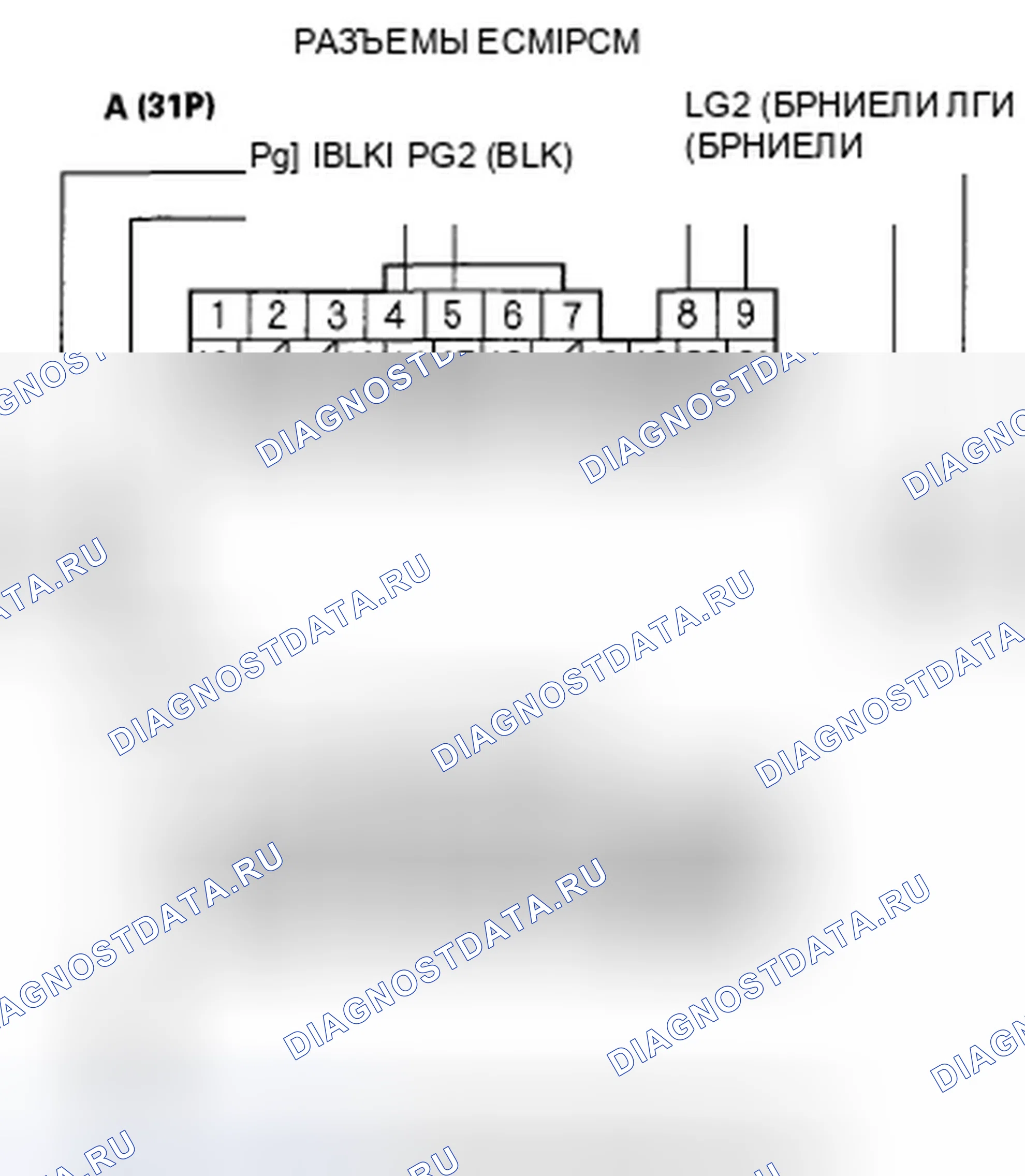 Рис. 458. Honda Element YH2 рестайлинг