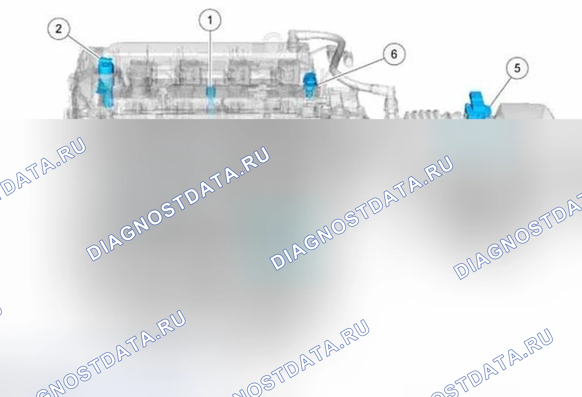 Рис. 36: Расположение датчиков левого двигателя - 2,5l. Ford Escape III