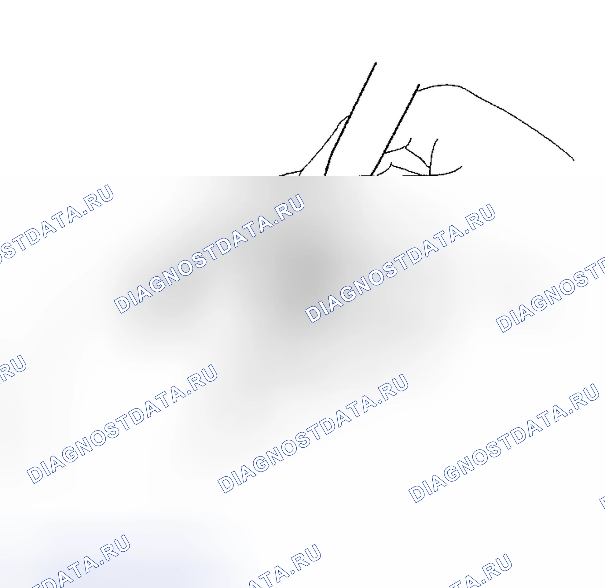 Рис. 294. Haval Xiaolong Max I