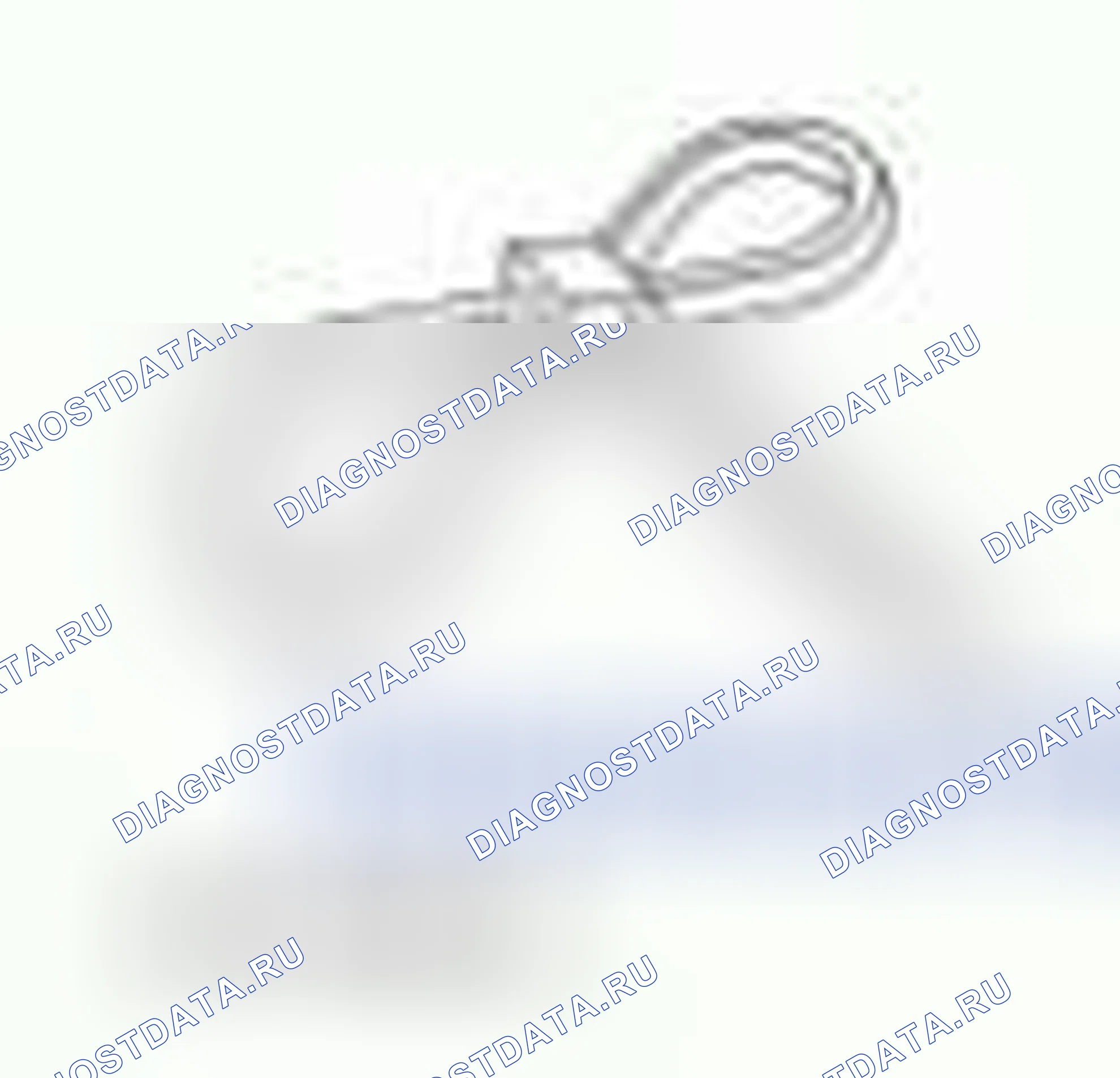 Рис. 324. Hyundai ix55 I