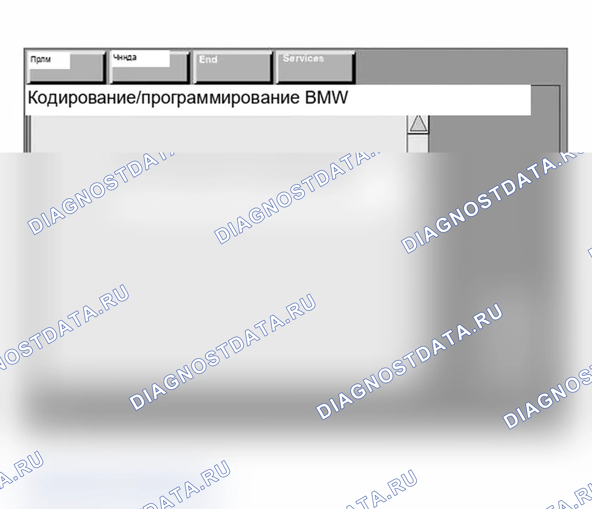 Рис. 220. BMW X3 E83