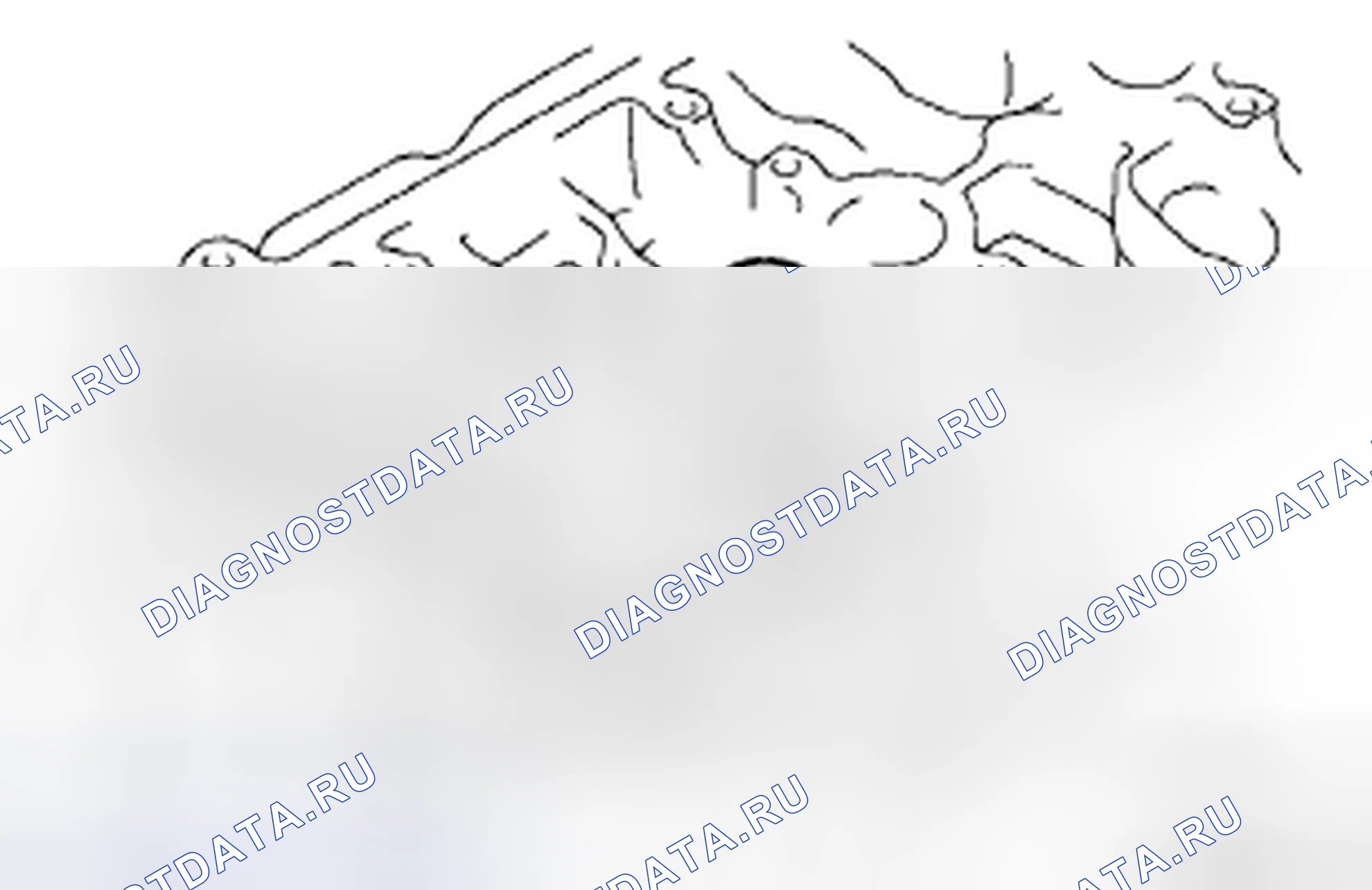Рис. 277: РАЗБОРКА. Toyota Corolla X