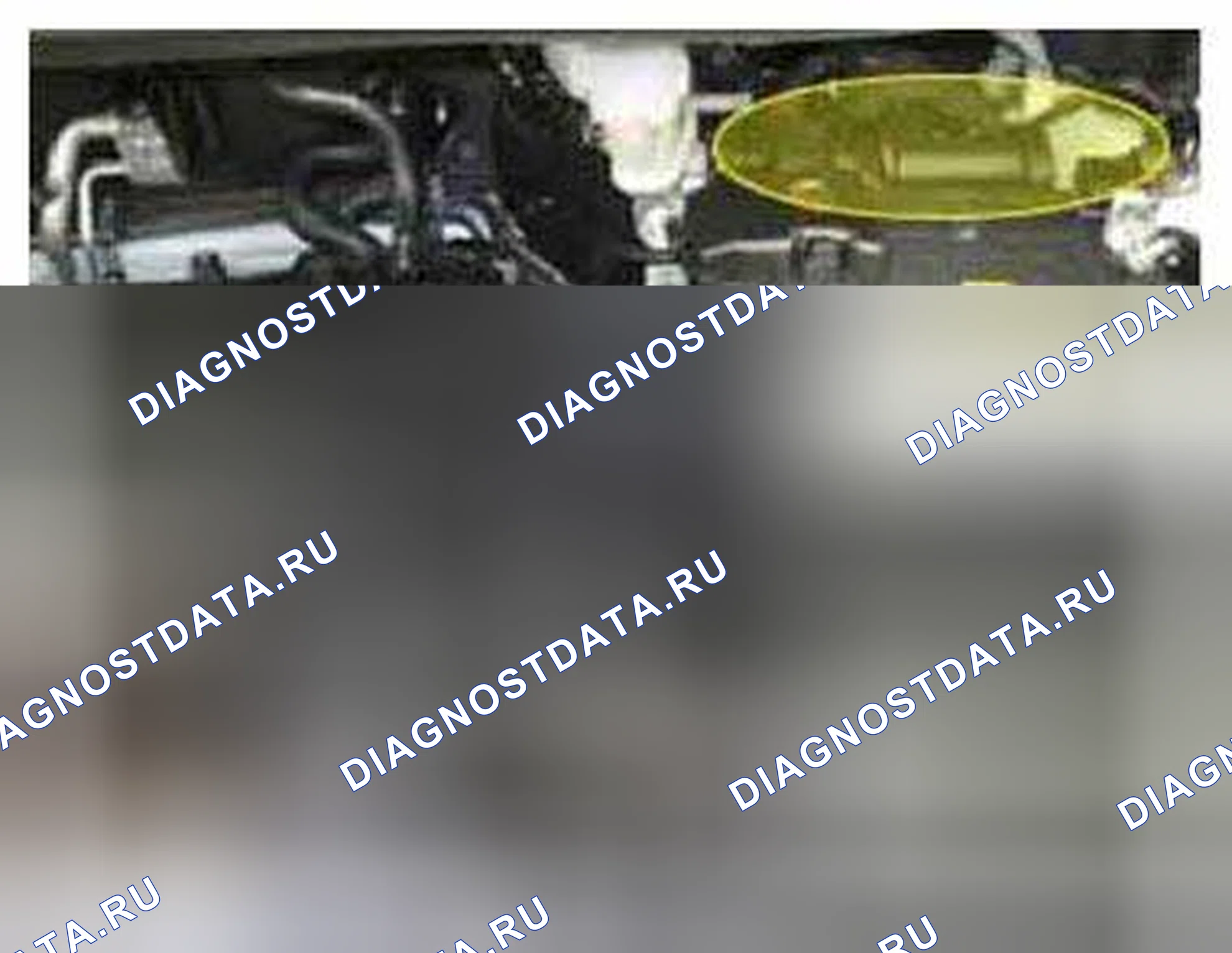 Рис. 225: Расположение компонентов. BMW 6 серия F06/F13/F12