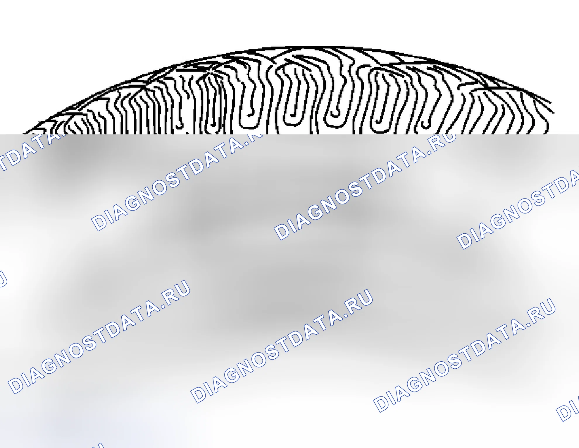 Рис. 23: Проверка шин и колес. Buick Regal IV