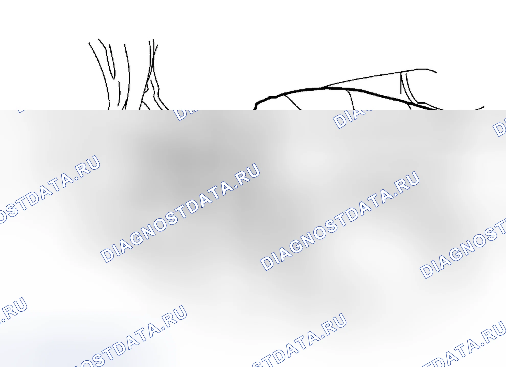 Рис. 364. Ford Escape I рестайлинг
