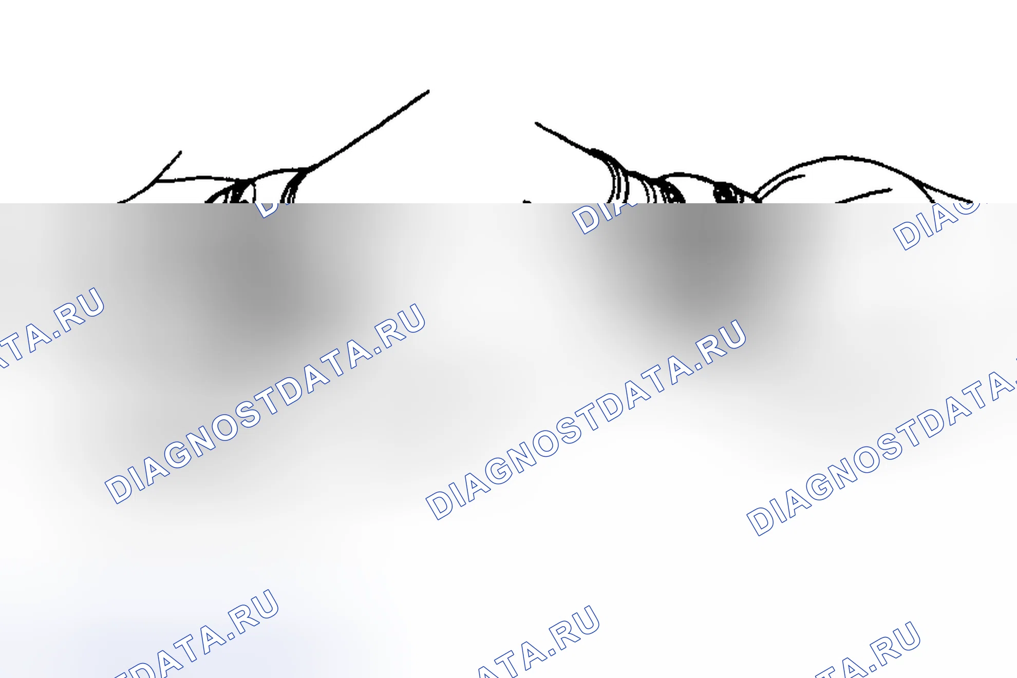 Рис. 5. Toyota Land Cruiser 100