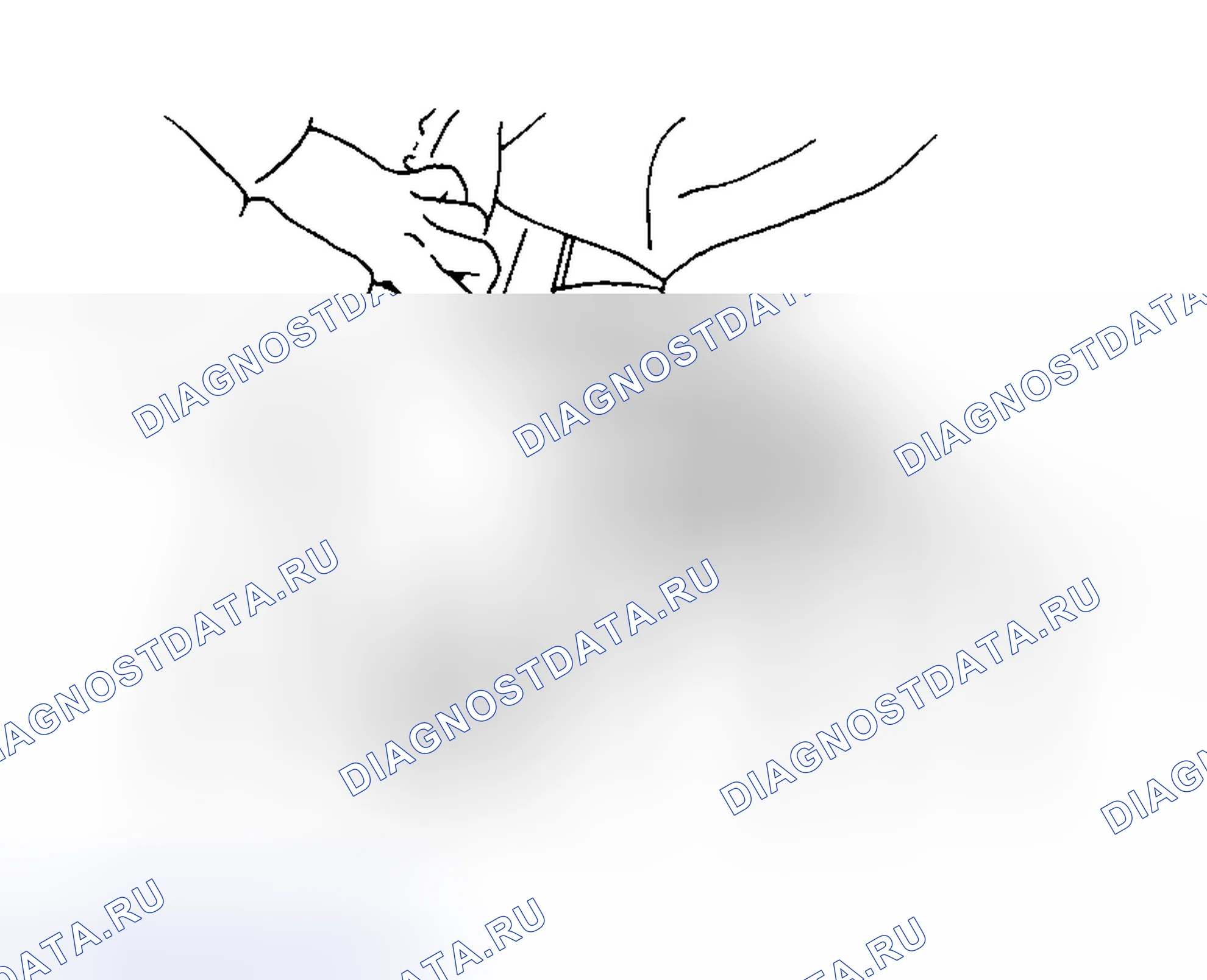 Рис. 31. Subaru Outback BH