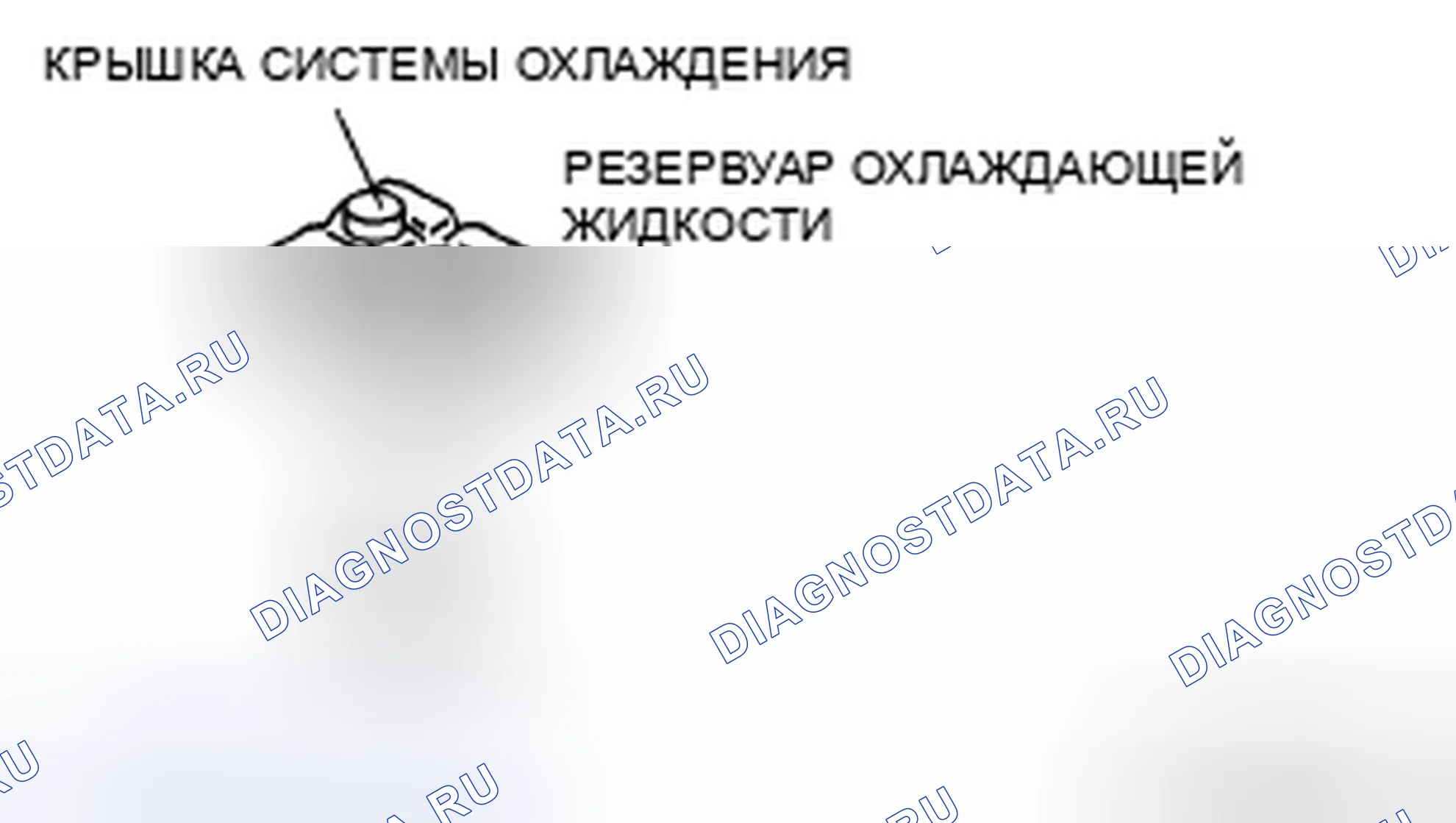 Рис. 7. Audi R8 I