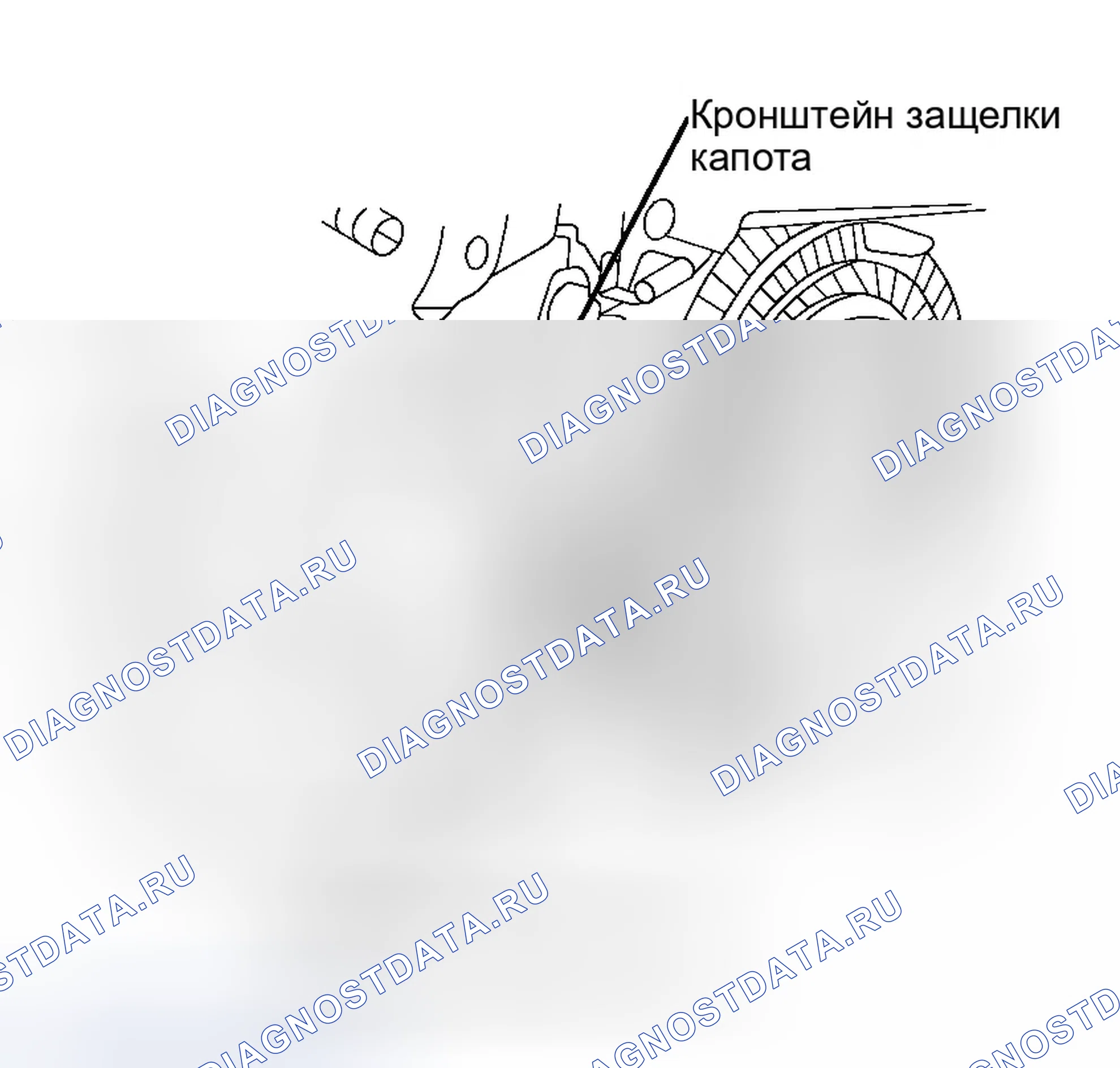 Рис. 1. Infiniti G35 III