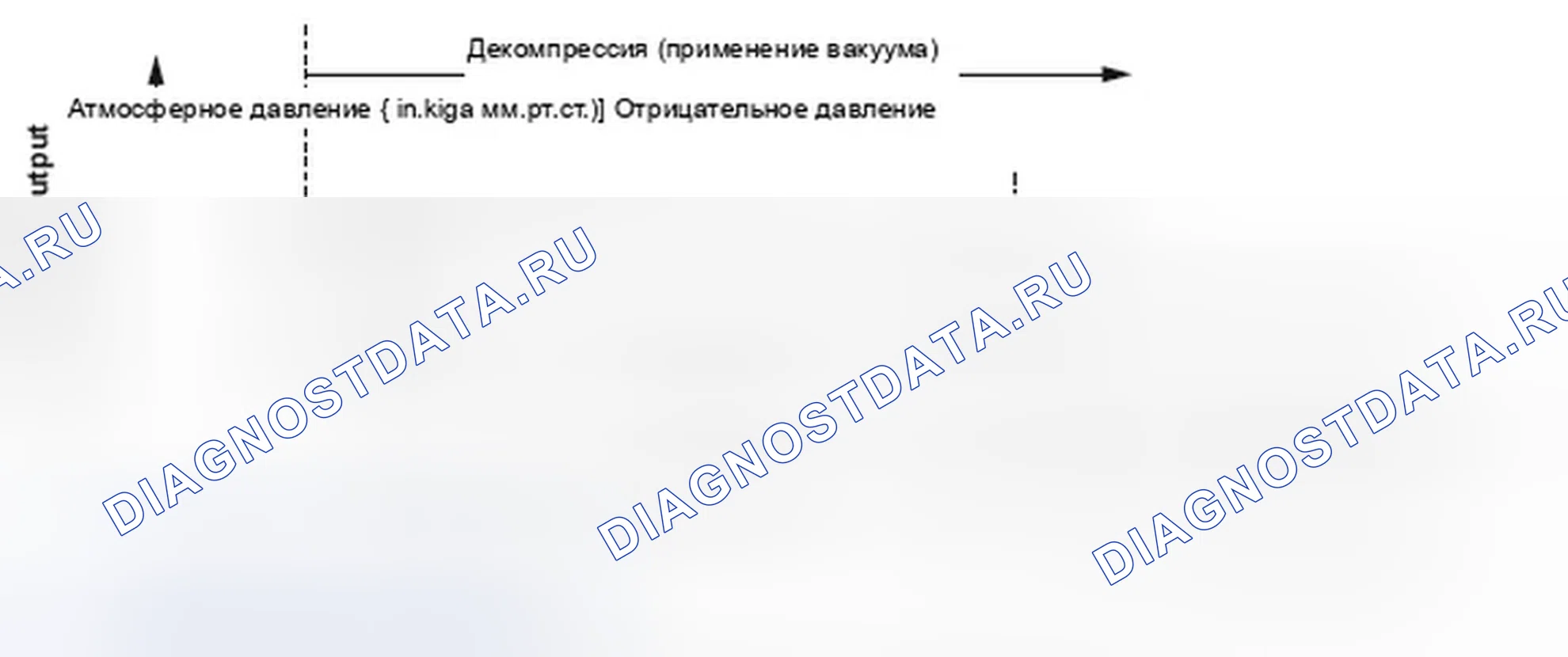 Рис. 308: График потока продувки системы испарительных выбросов. Honda Element I