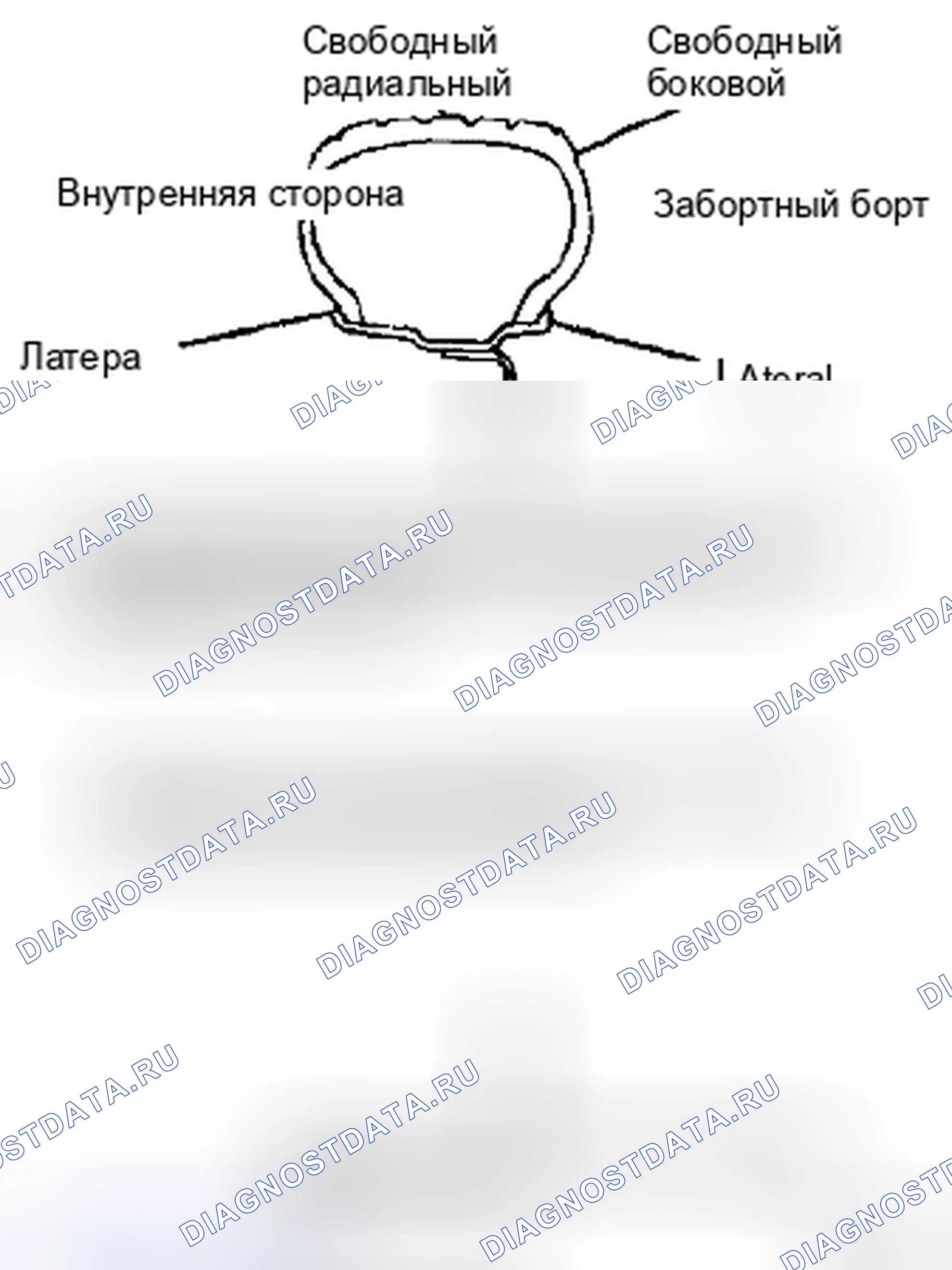 Рис. 8. Suzuki Forenza I