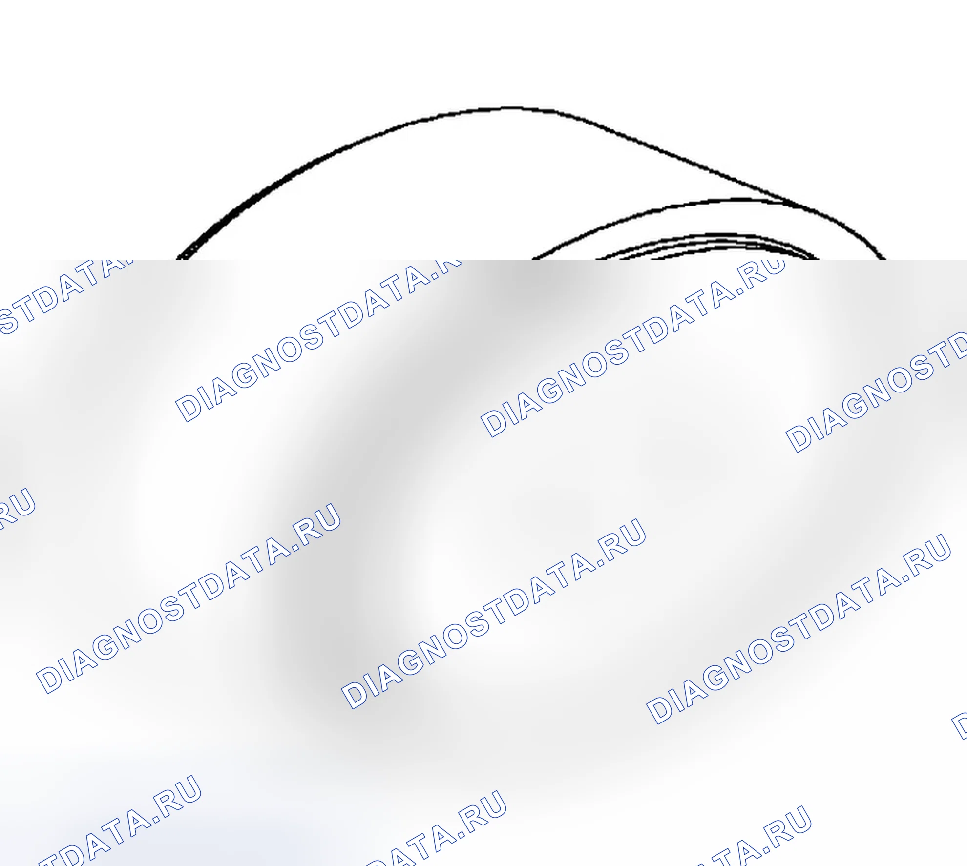 Рис. 20. Dodge Dakota III