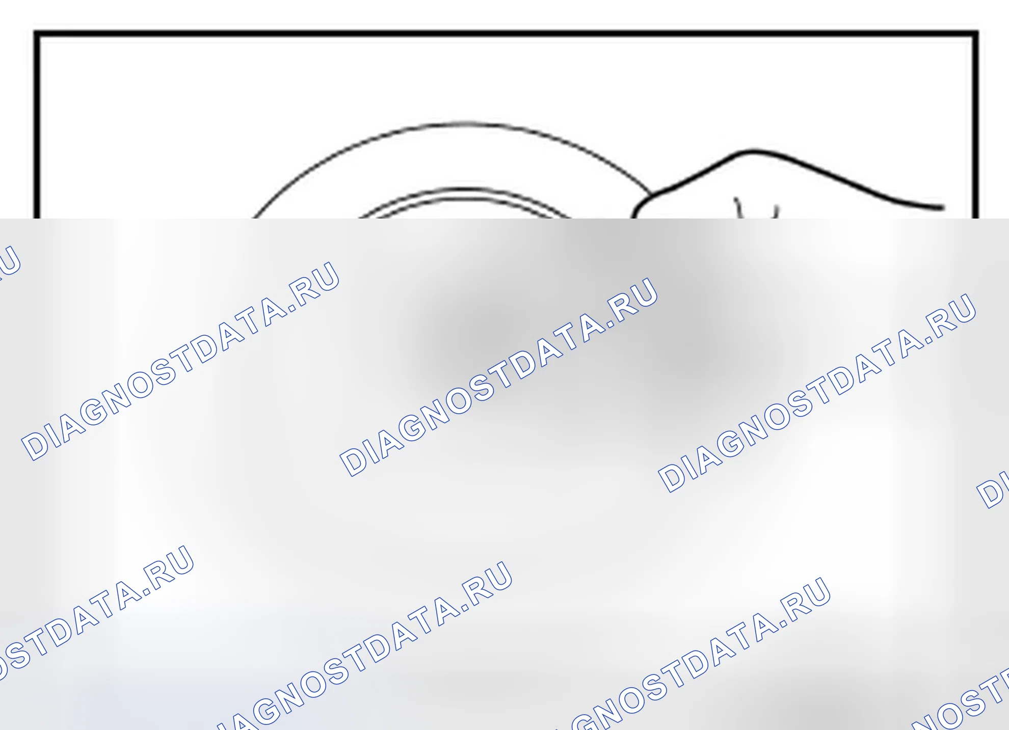 Рис. 446. Infiniti G25 IV рестайлинг