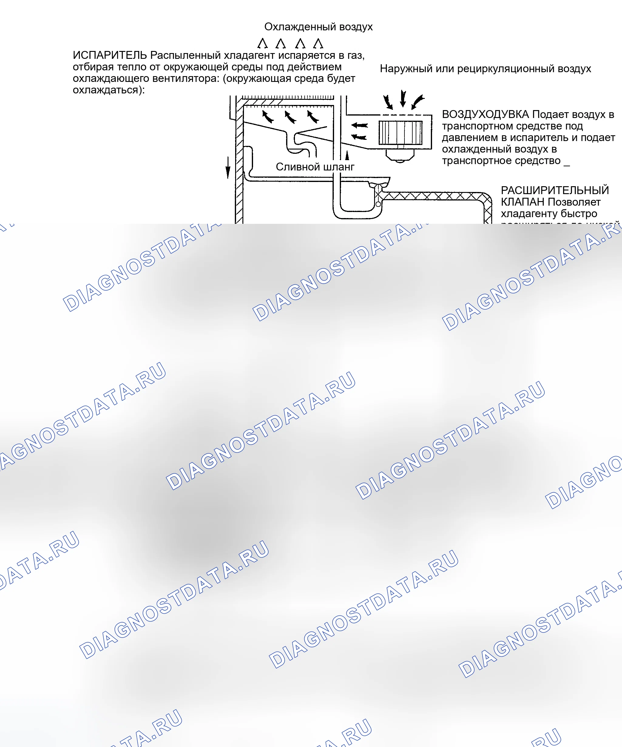 Рис. 82: ЦИКЛ ОХЛАЖДЕНИЯ. Hyundai Accent II