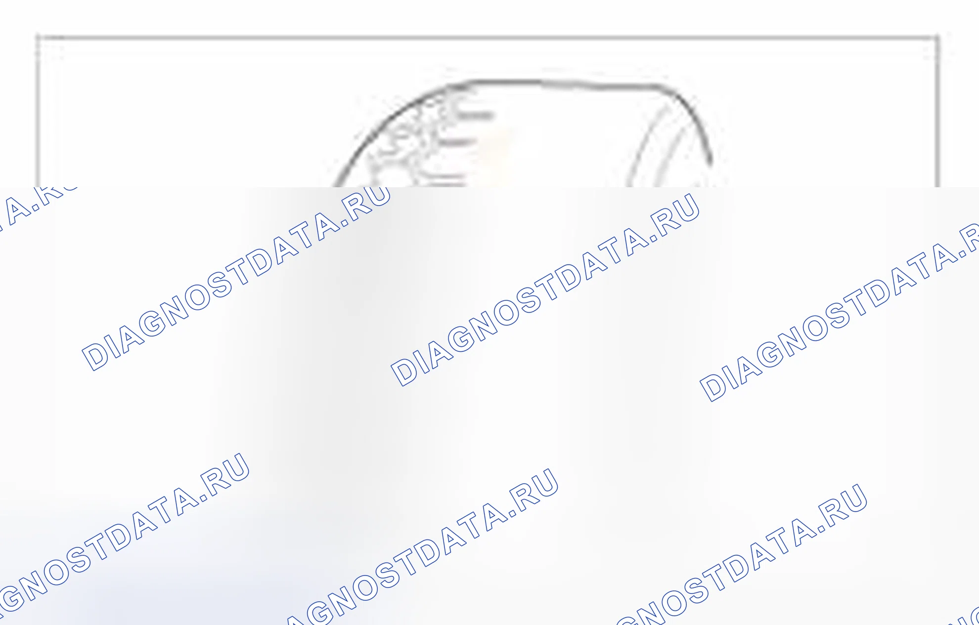 Рис. 2. BMW 6 серия F06/F13/F12