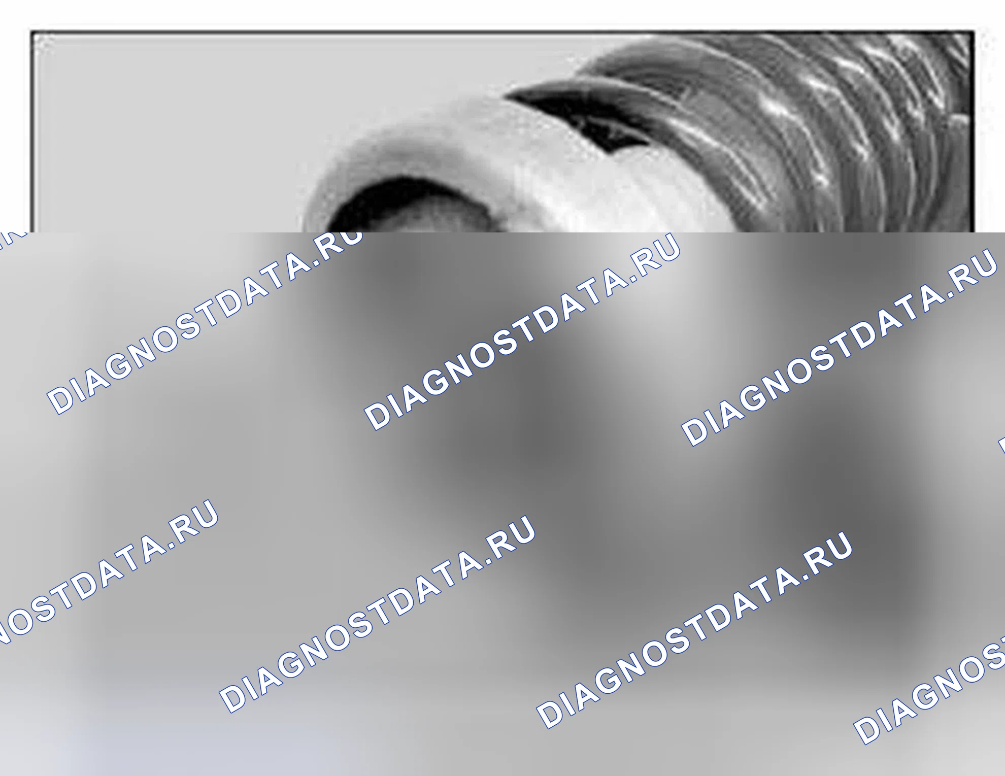 Рис. 155. BMW M6 E63/E64