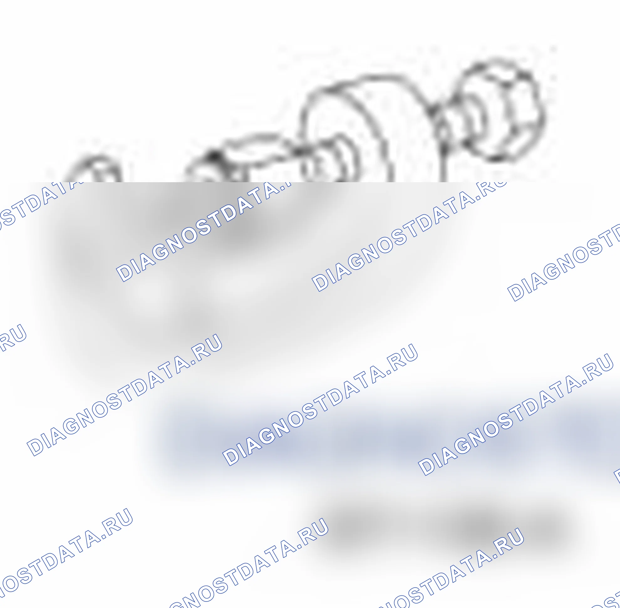 Рис. 2. Ford Transit Connect I рестайлинг