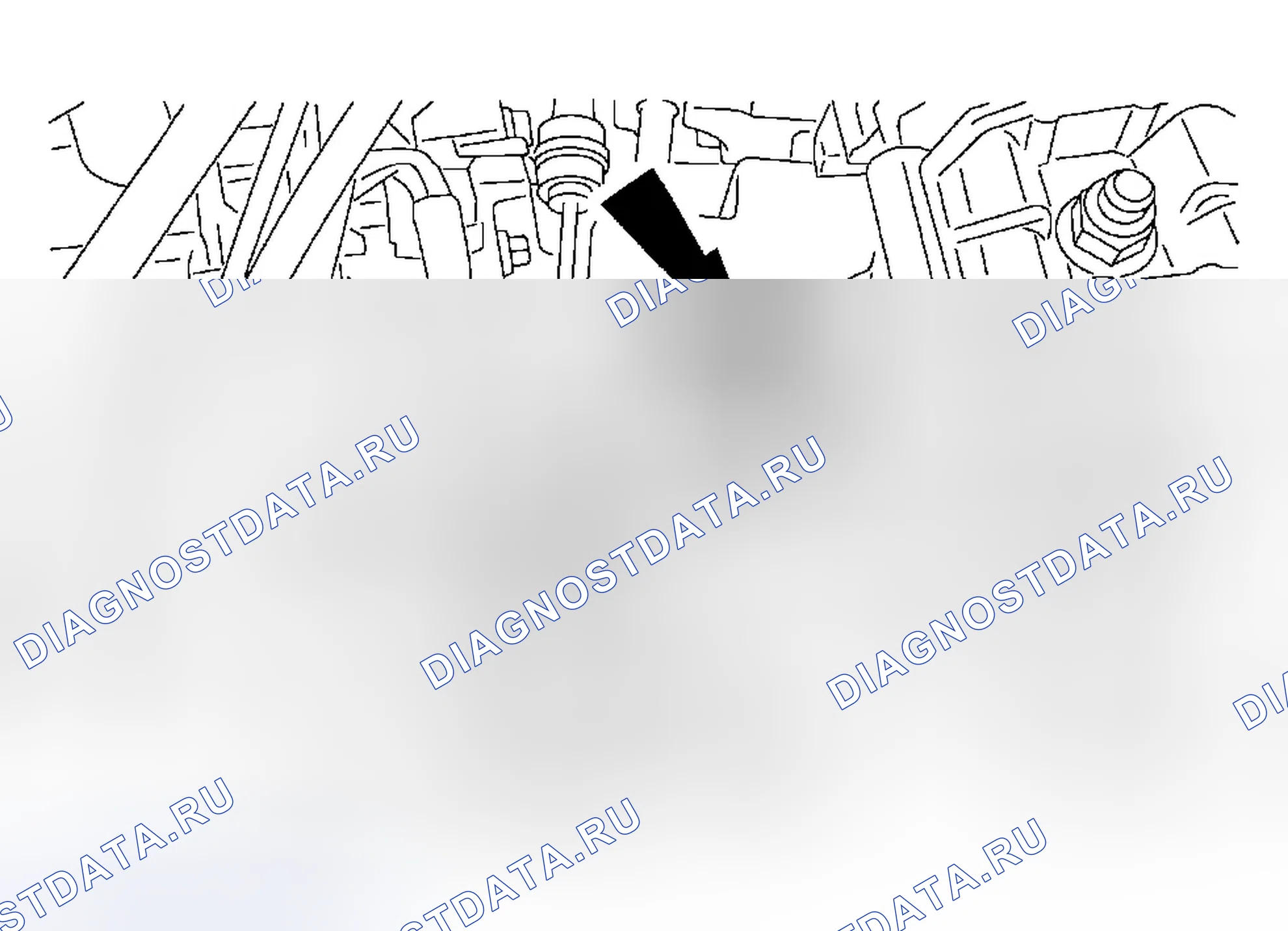 Рис. 1286. Ford Focus I рестайлинг