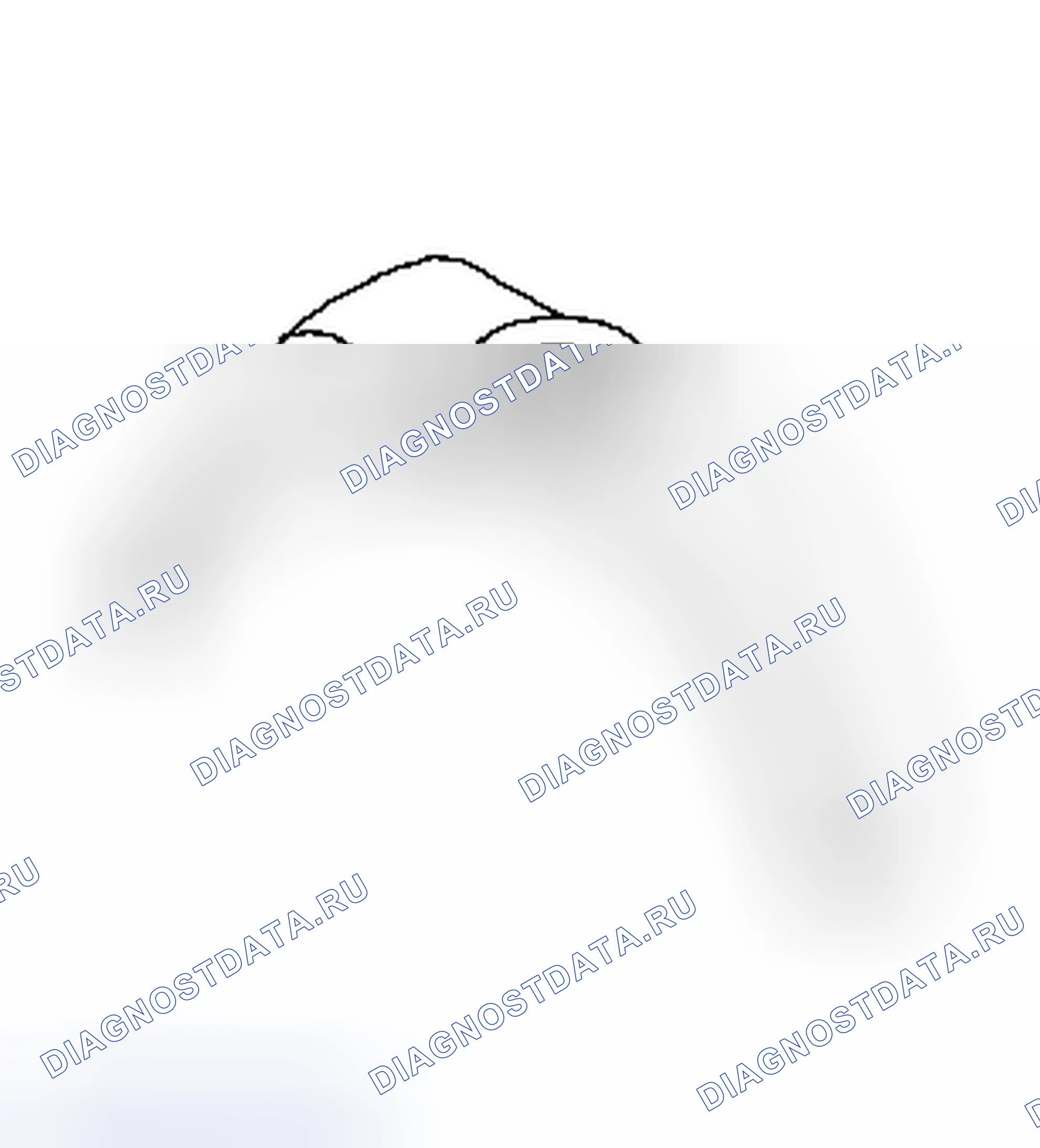 Рис. 13. Dodge Cab & Chassis R3500 HD transition