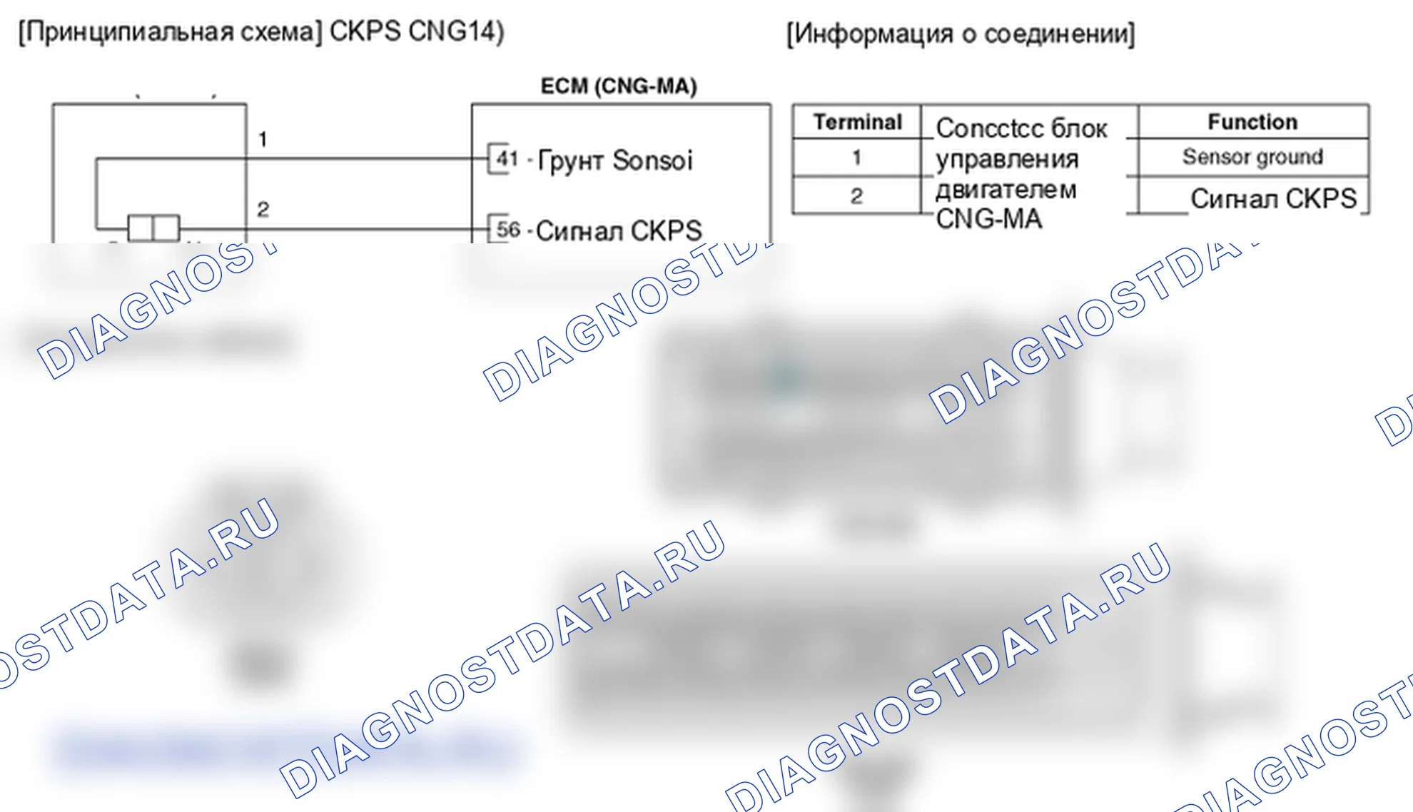 Фрагмент электросхемы: Датчик положения коленчатого вала (CKPS). Hyundai Elantra V рестайлинг