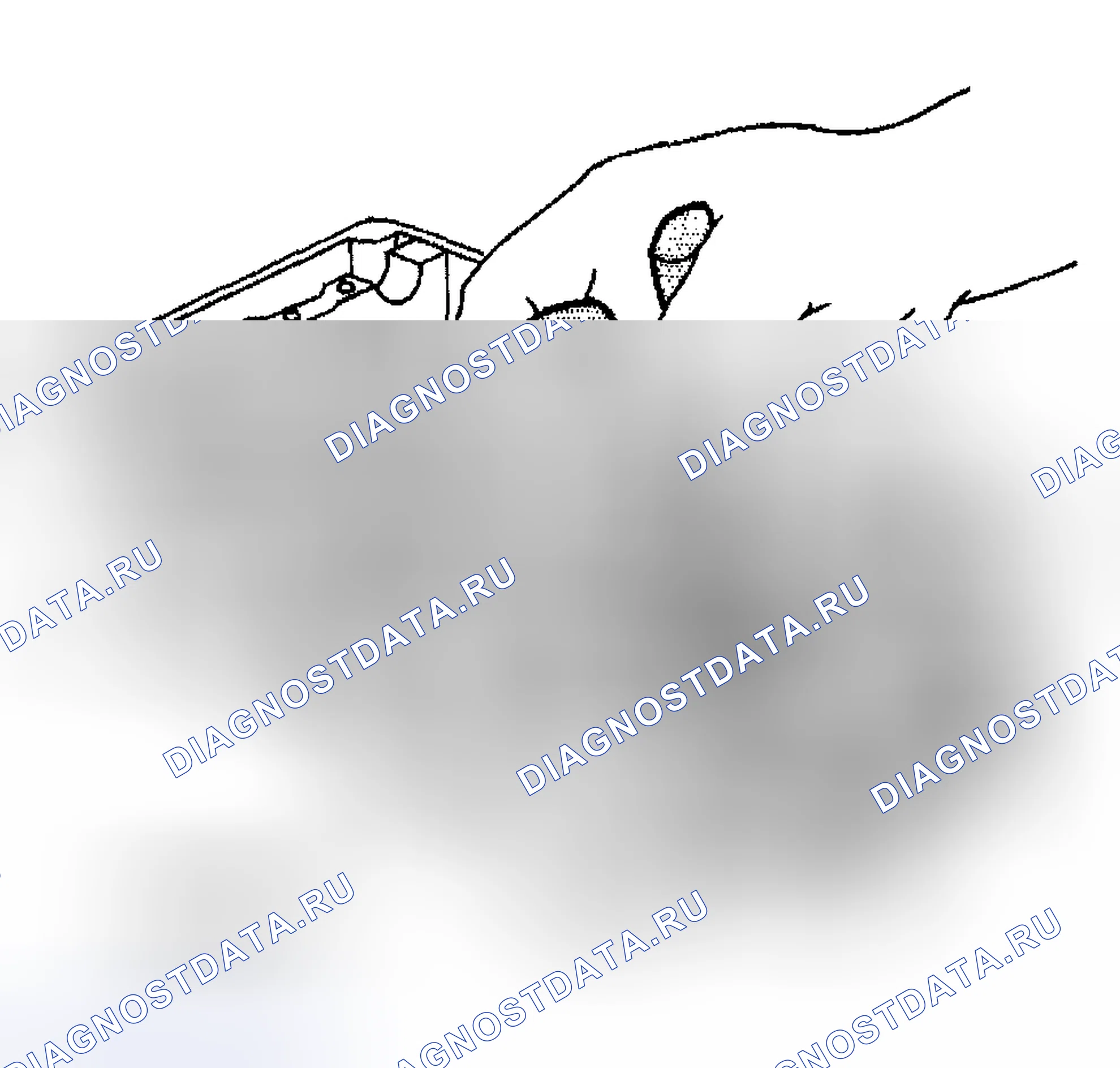Рис. 1580. Hyundai Terracan I рестайлинг