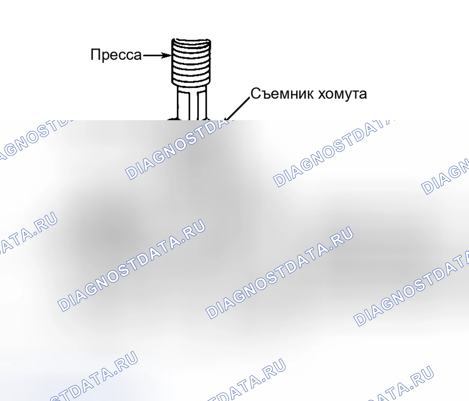Рис. 5. Dodge Dakota WS 