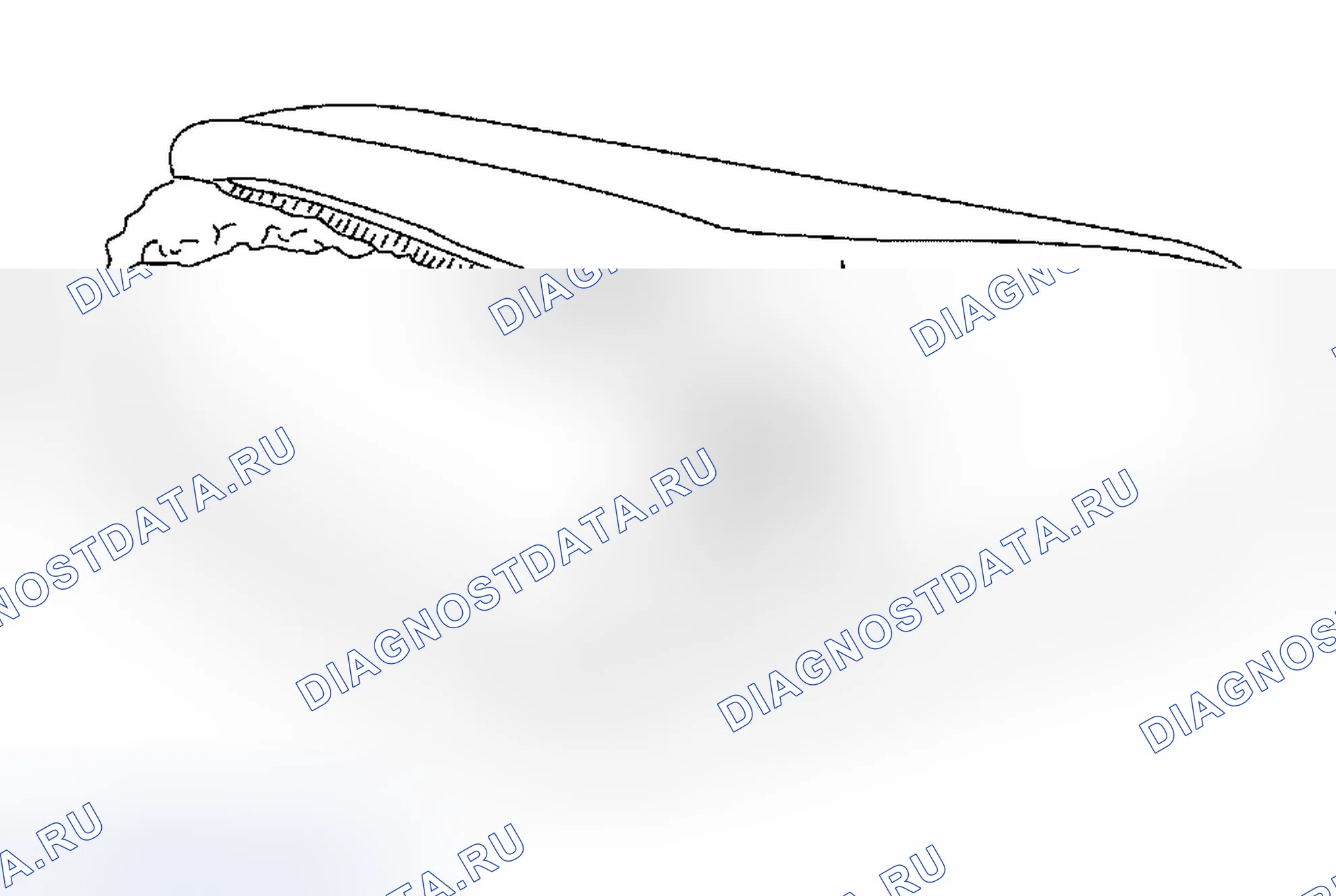 Рис. 182. Ford Cab & Chassis F350 Super Duty 