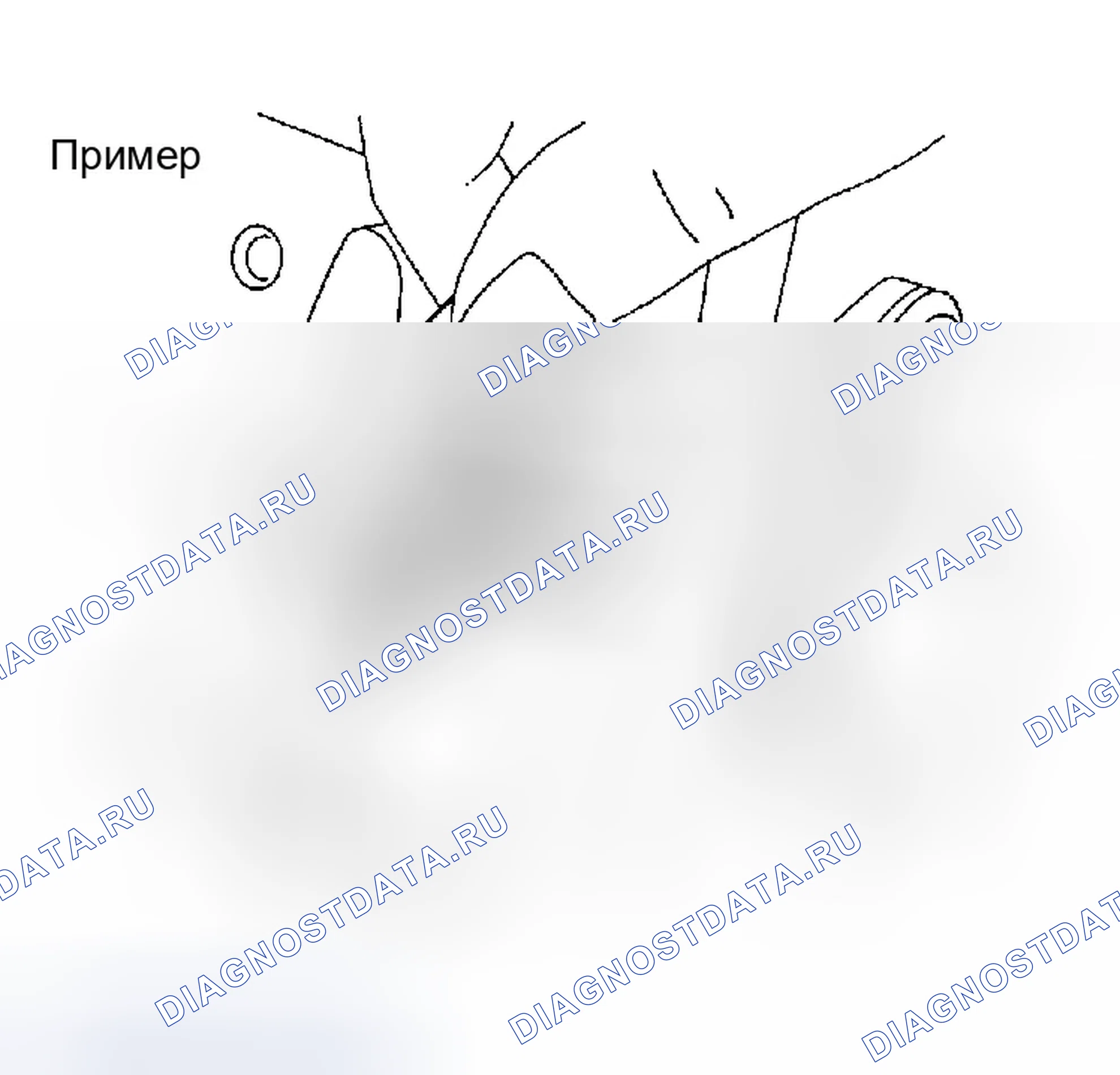 Рис. 1465. Infiniti G35 III