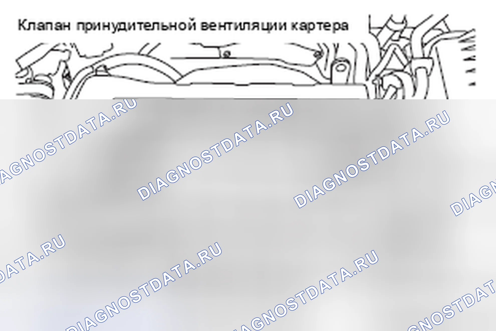 Рис. 3: < Non-turbo >. Mazda MX-5 NB