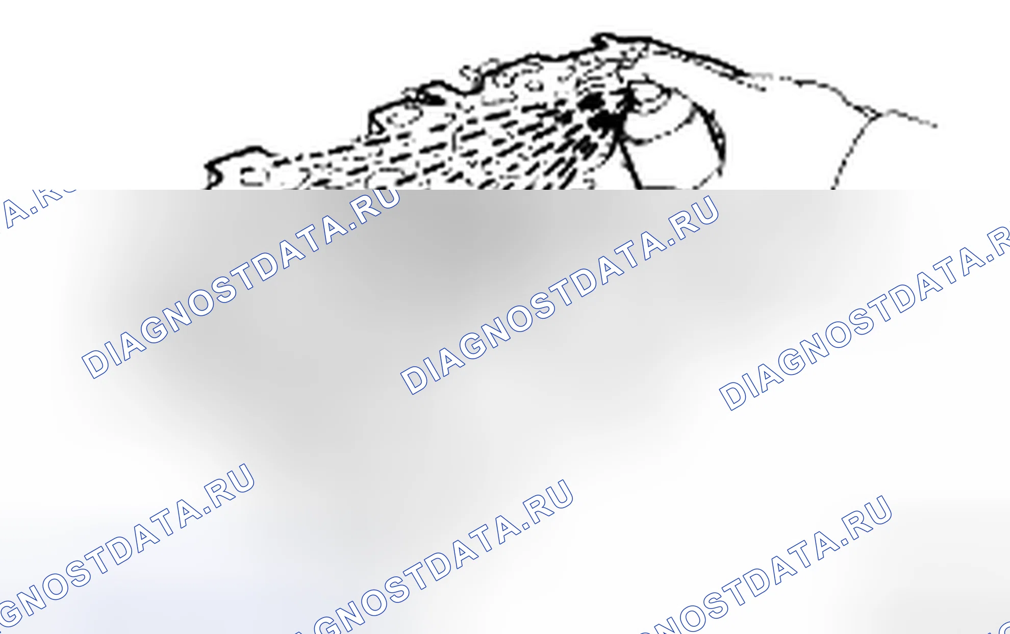 Рис. 232. Haval H5 II